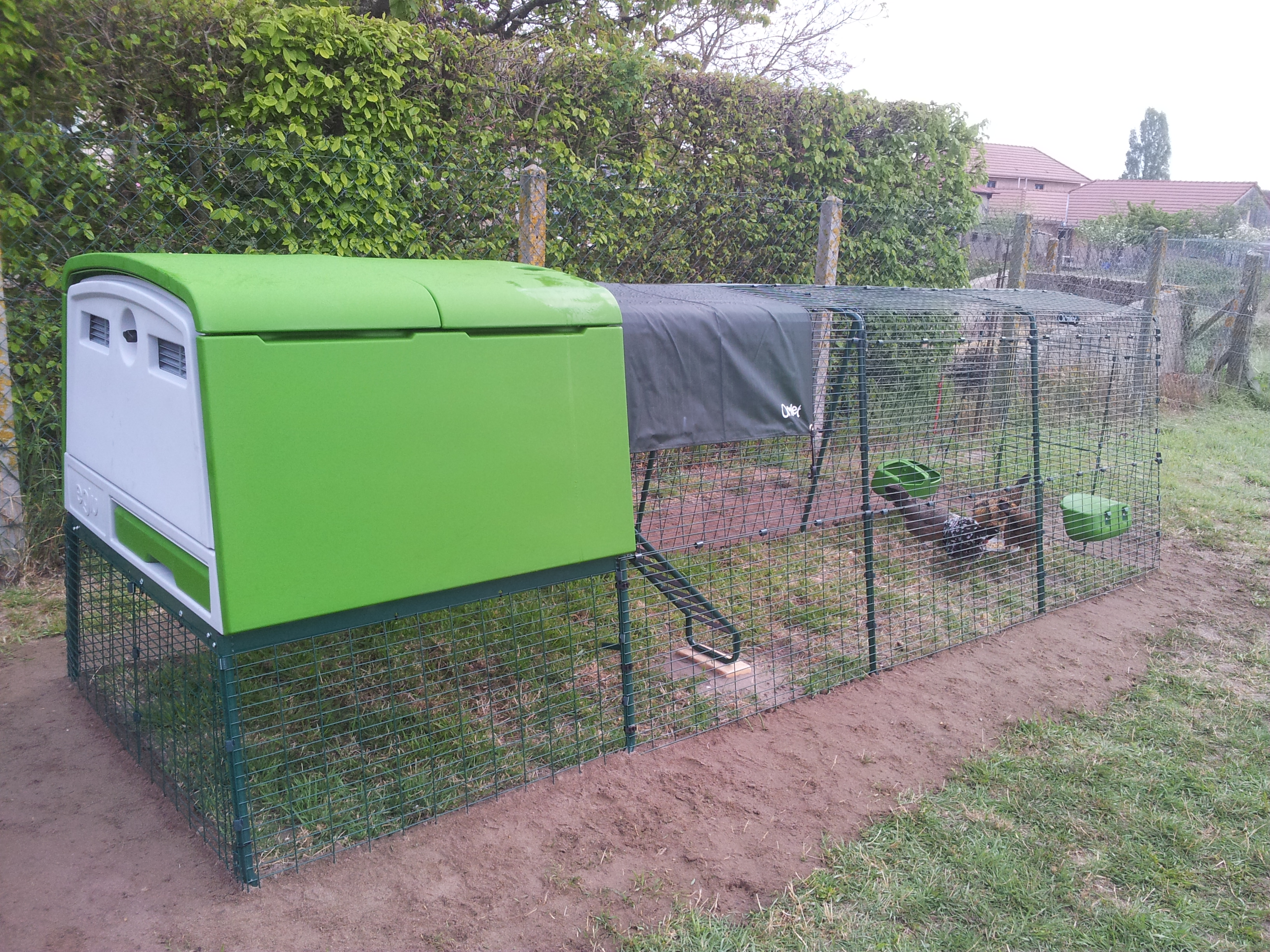 New Eglu Cube Chicken Coop Chicken Keeping Equipment Omlet