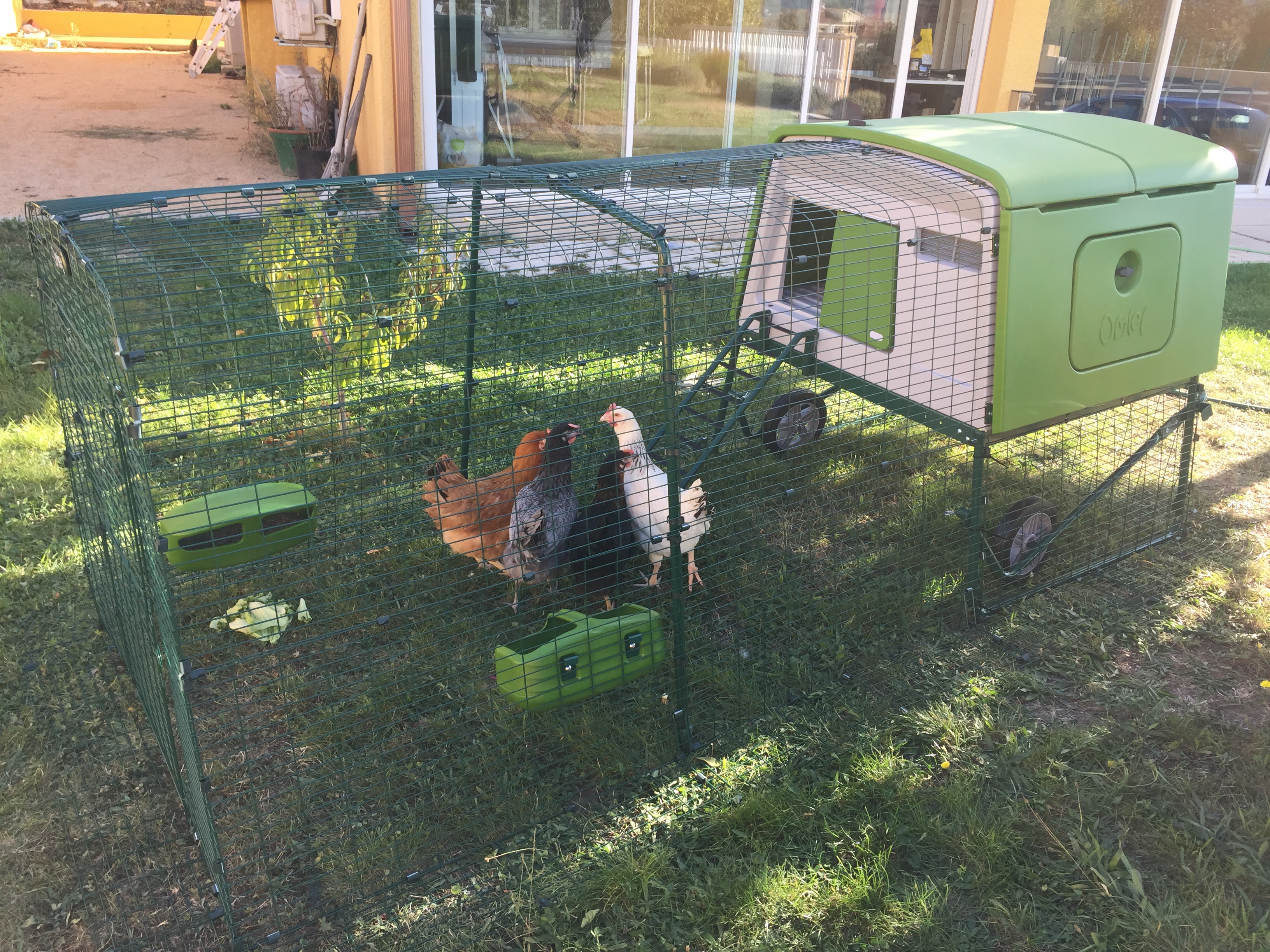 Chicken coops eglu 