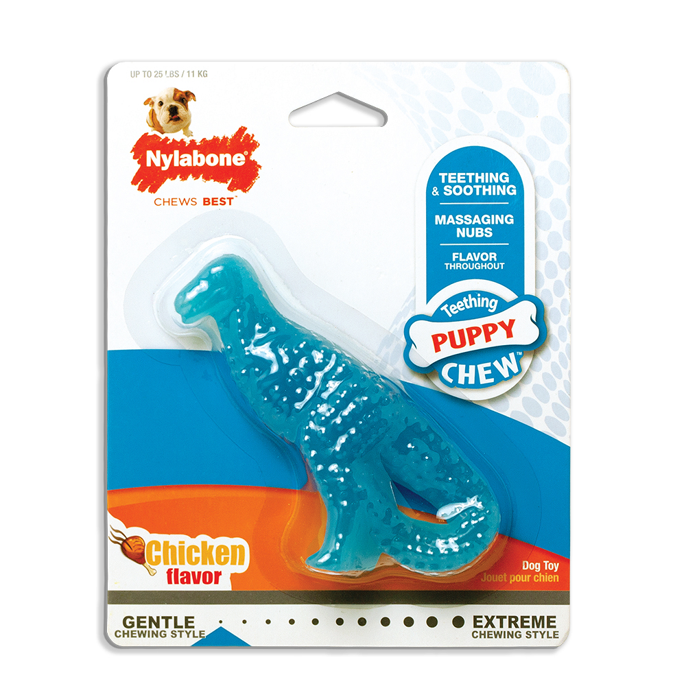 10 MustHave Nylabone Puppy Teething Products for a Happy, Healthy Dog