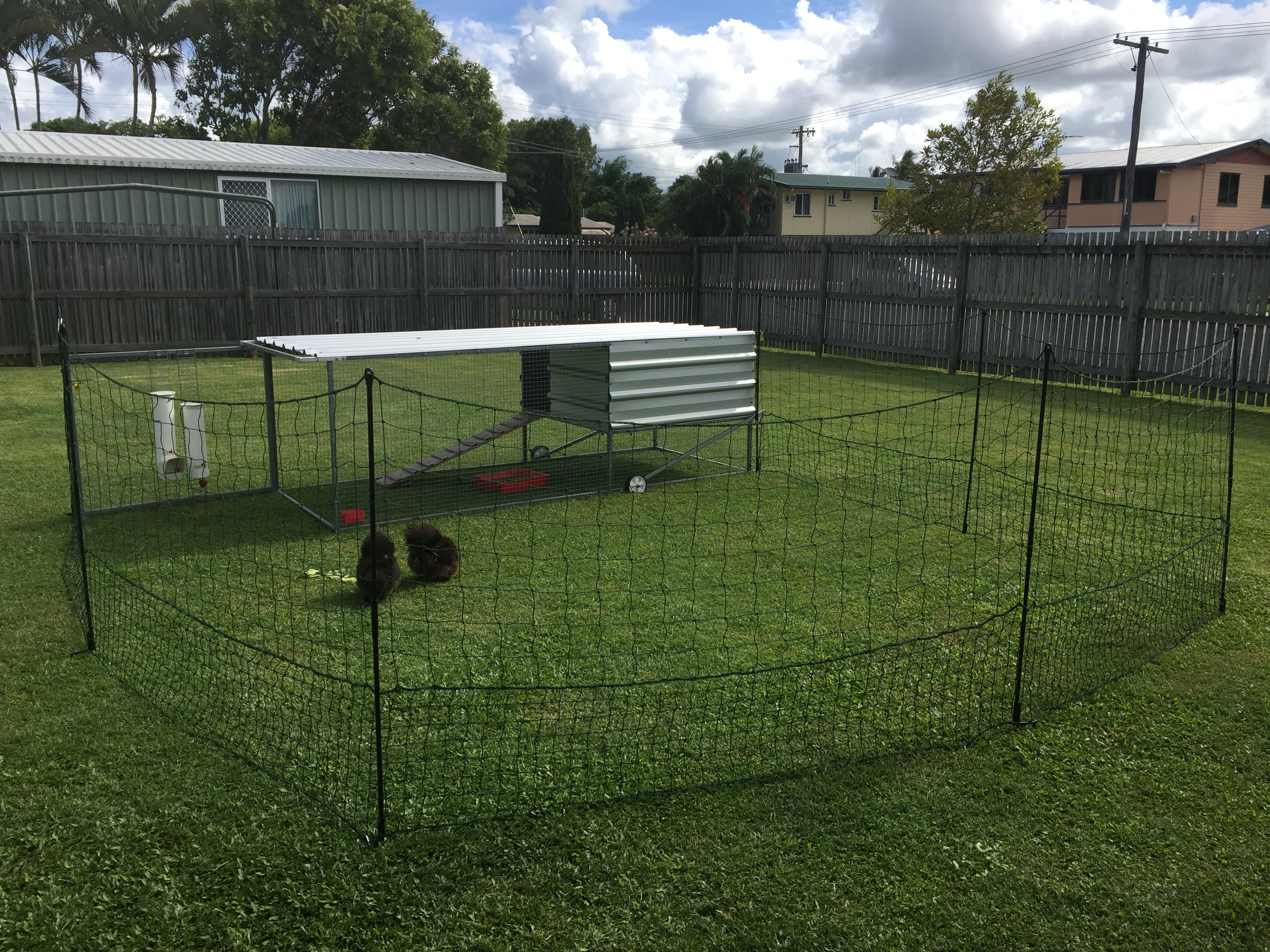 Omlet Chicken Fencing Green Poultry Netting for Chickens