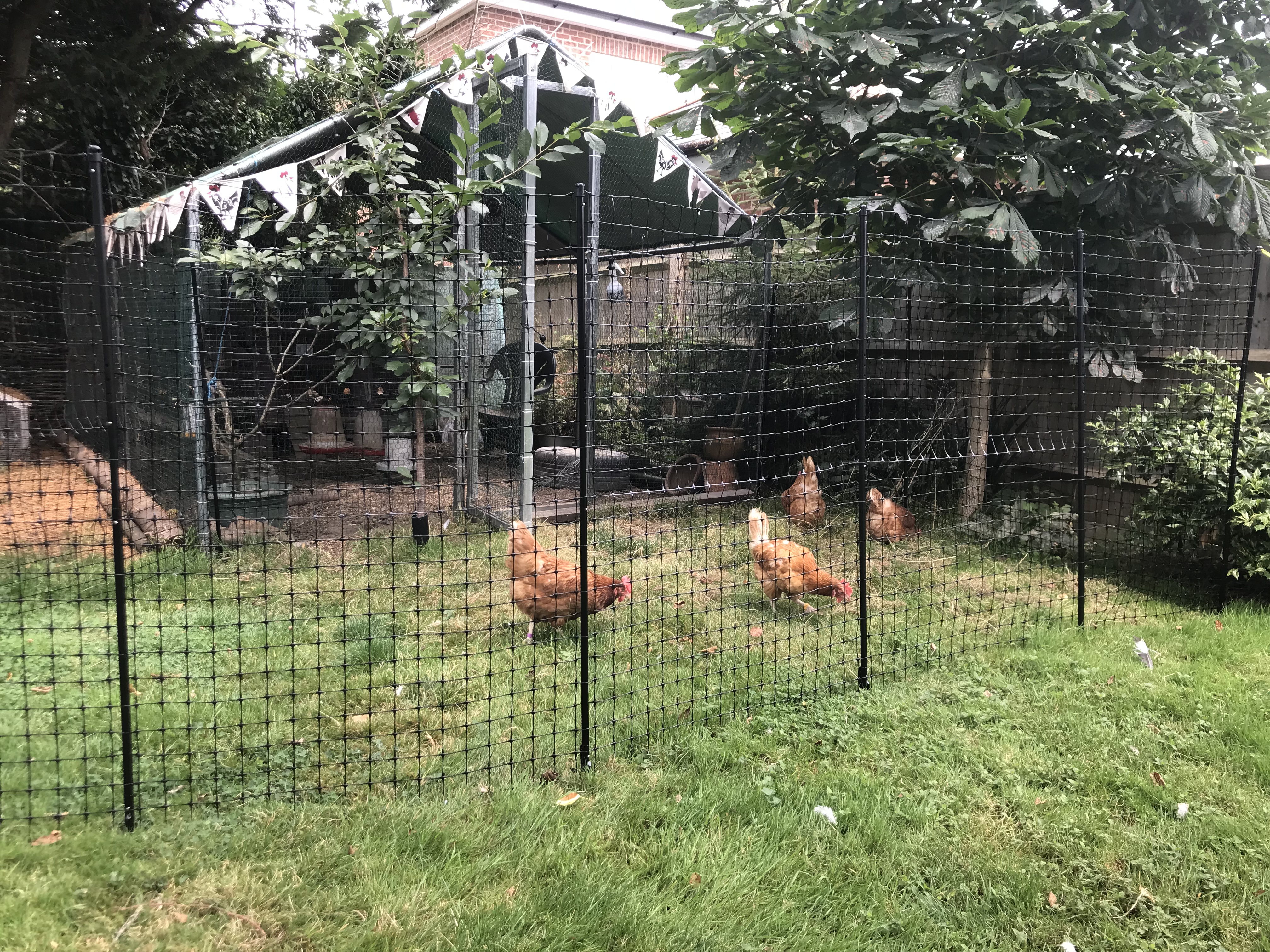 Omlet Chicken Fencing Poultry Netting For Chickens