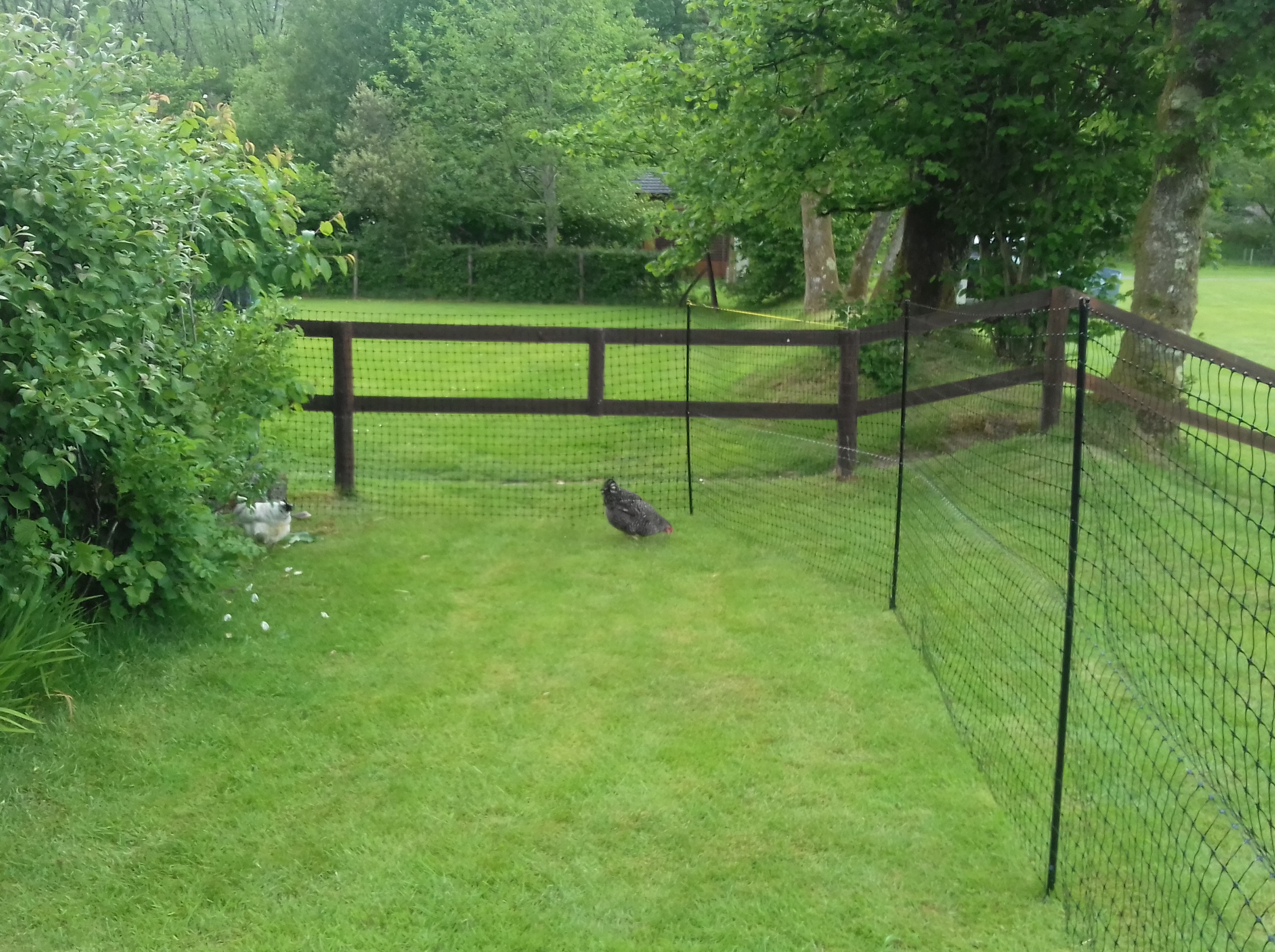 Omlet Chicken Fencing Poultry Netting for Chickens