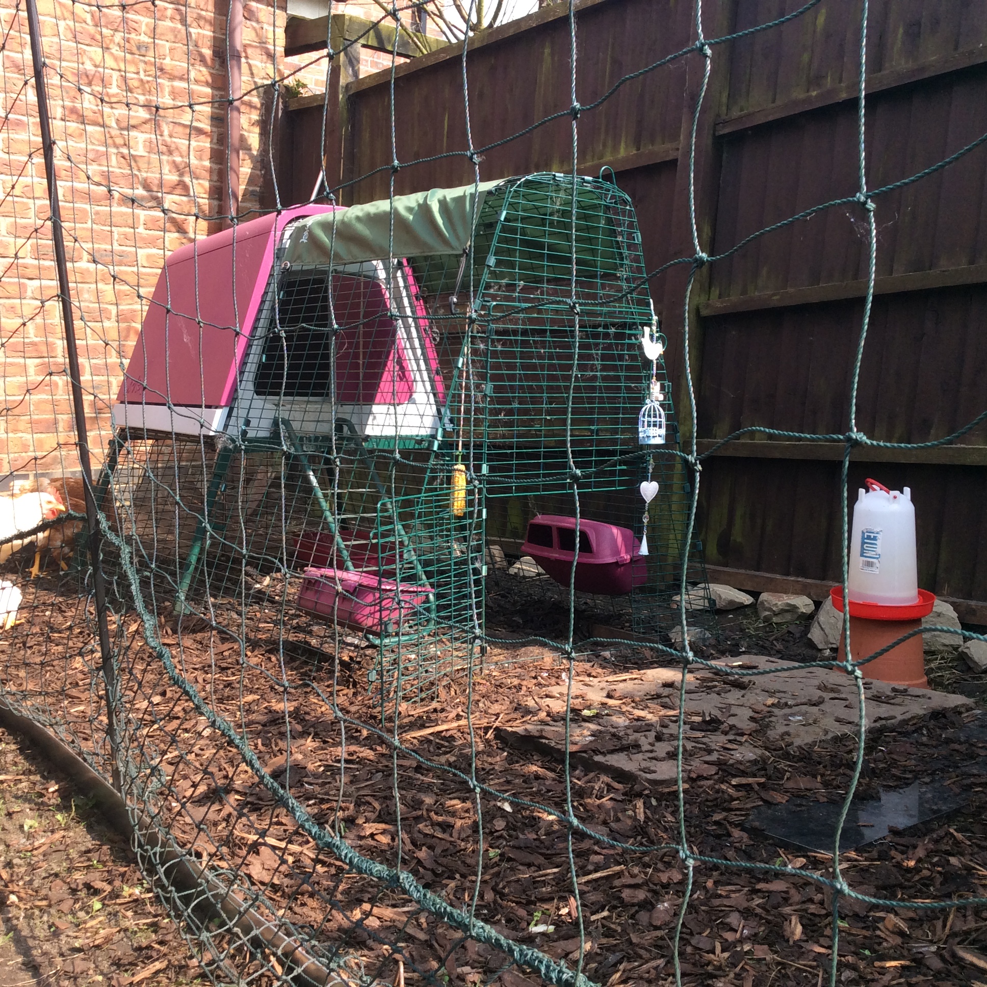 Omlet Chicken Fencing Green Poultry Netting for Chickens