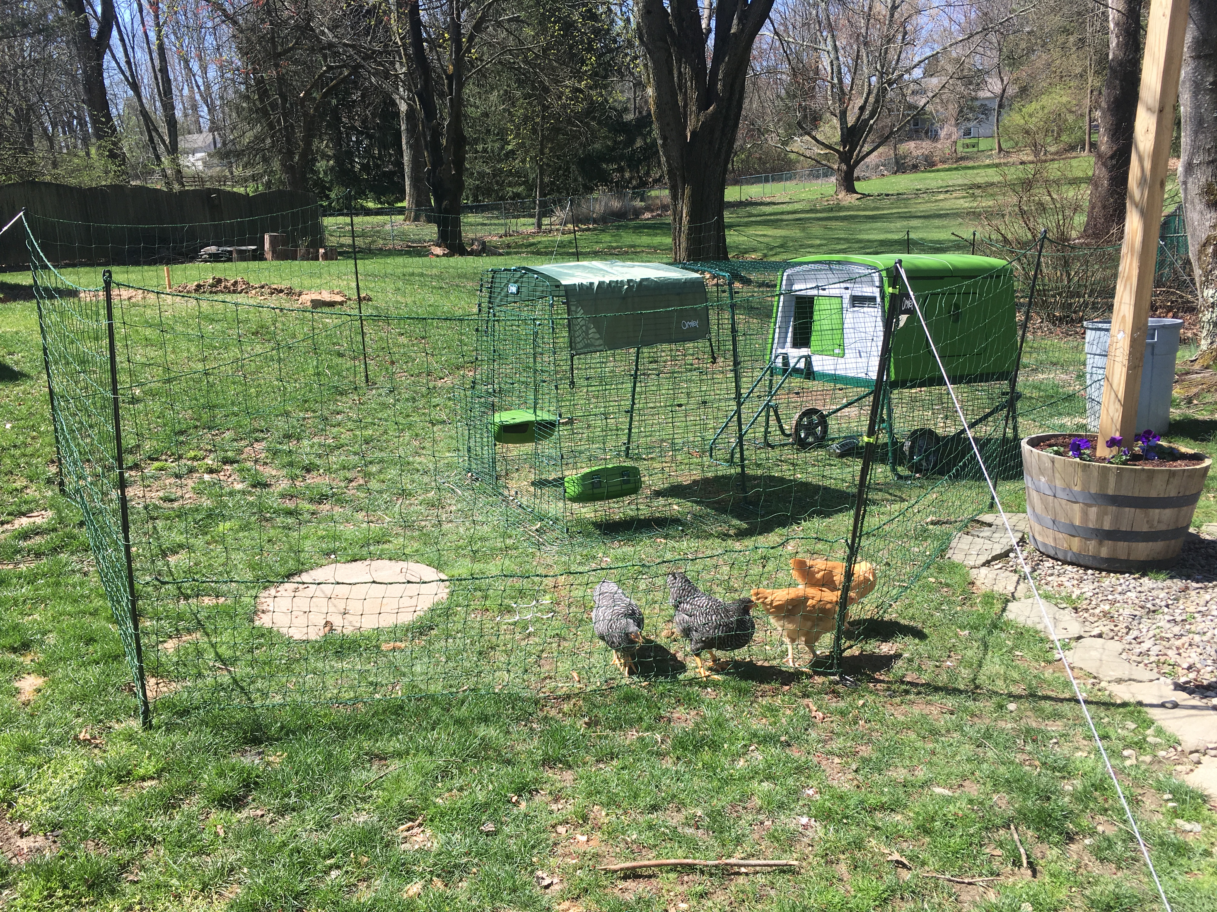 Omlet Chicken Fencing Green Poultry Netting for Chickens