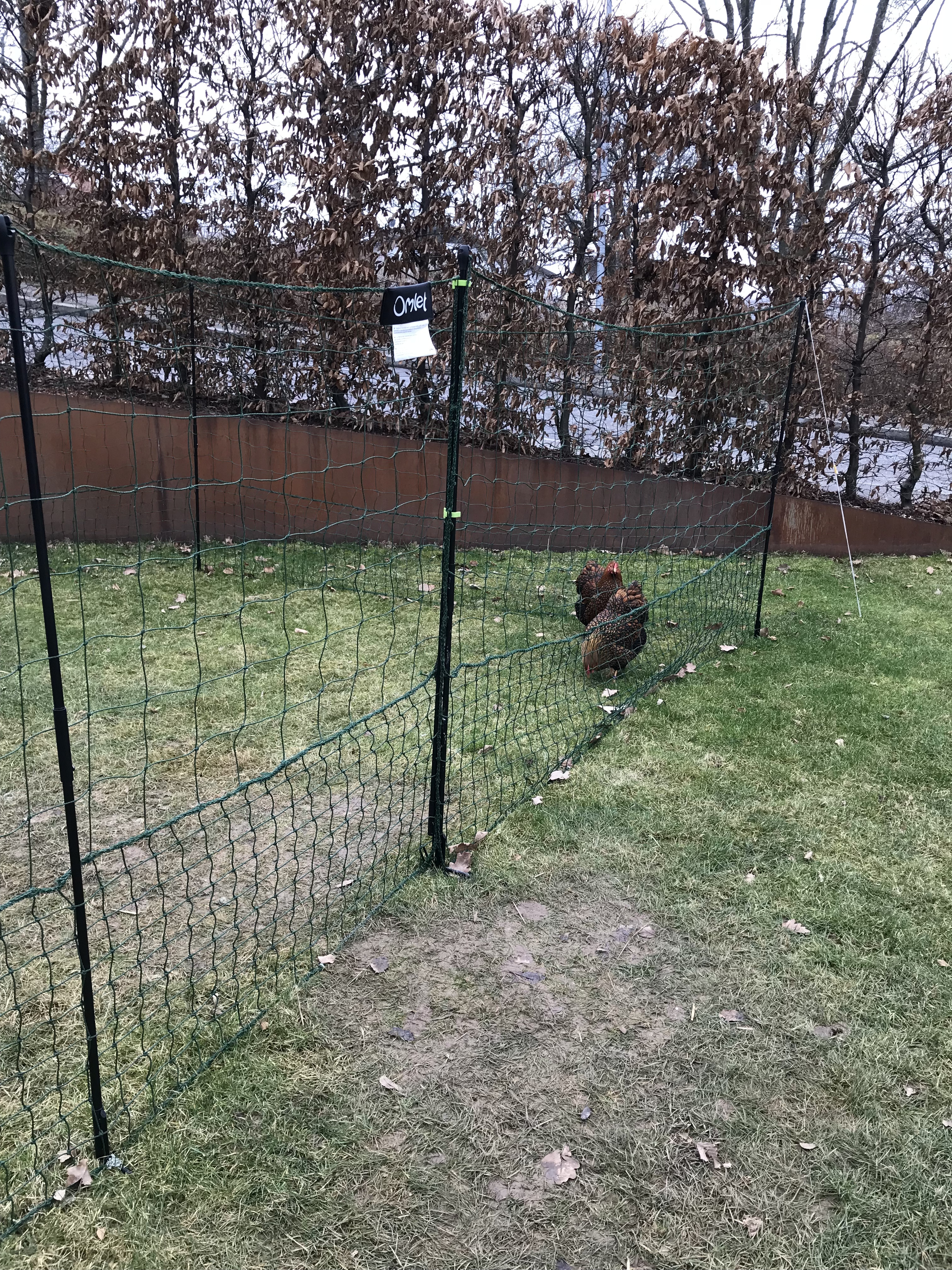 Omlet Chicken Fencing Green Poultry Netting for Chickens