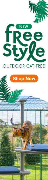 Two ginger cats playing on the Omlet Freestyle Outdoor Cat Tree