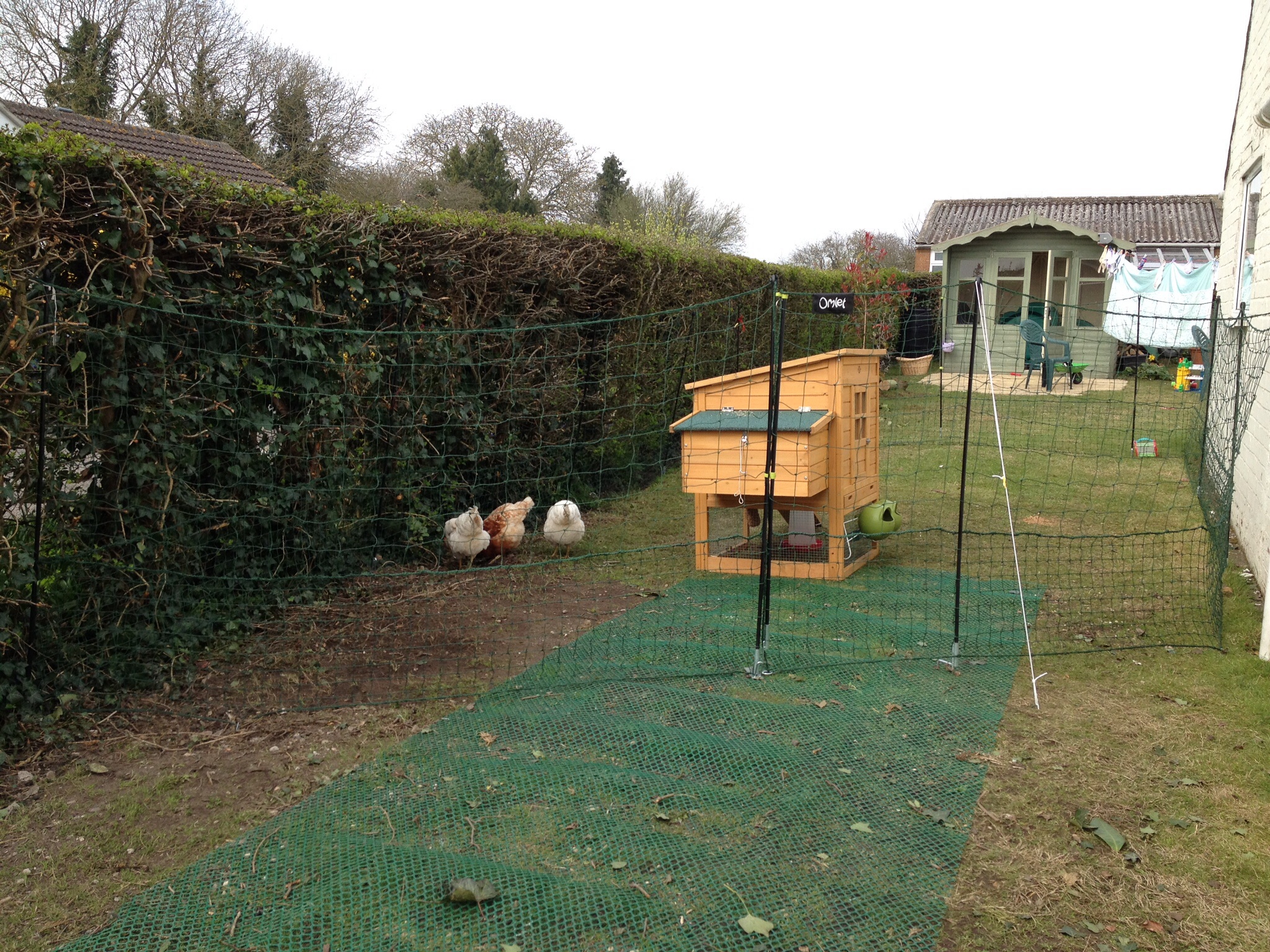 Omlet Chicken Fencing Green Poultry Netting for Chickens