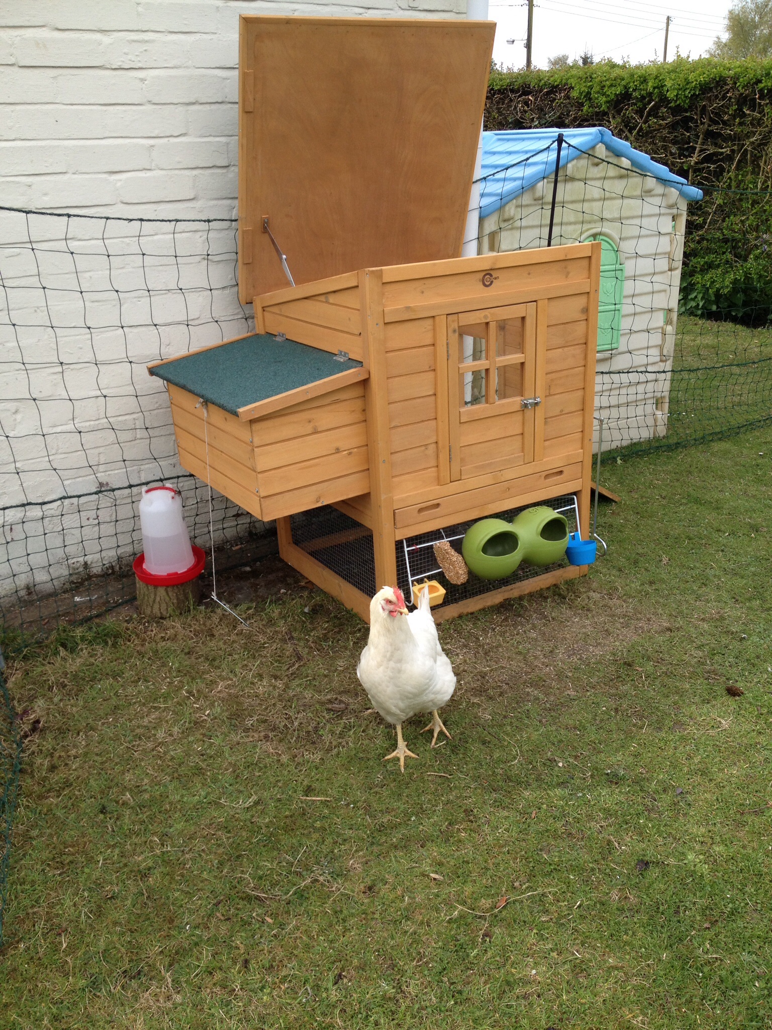 Omlet Chicken Fencing Green Poultry Netting for Chickens