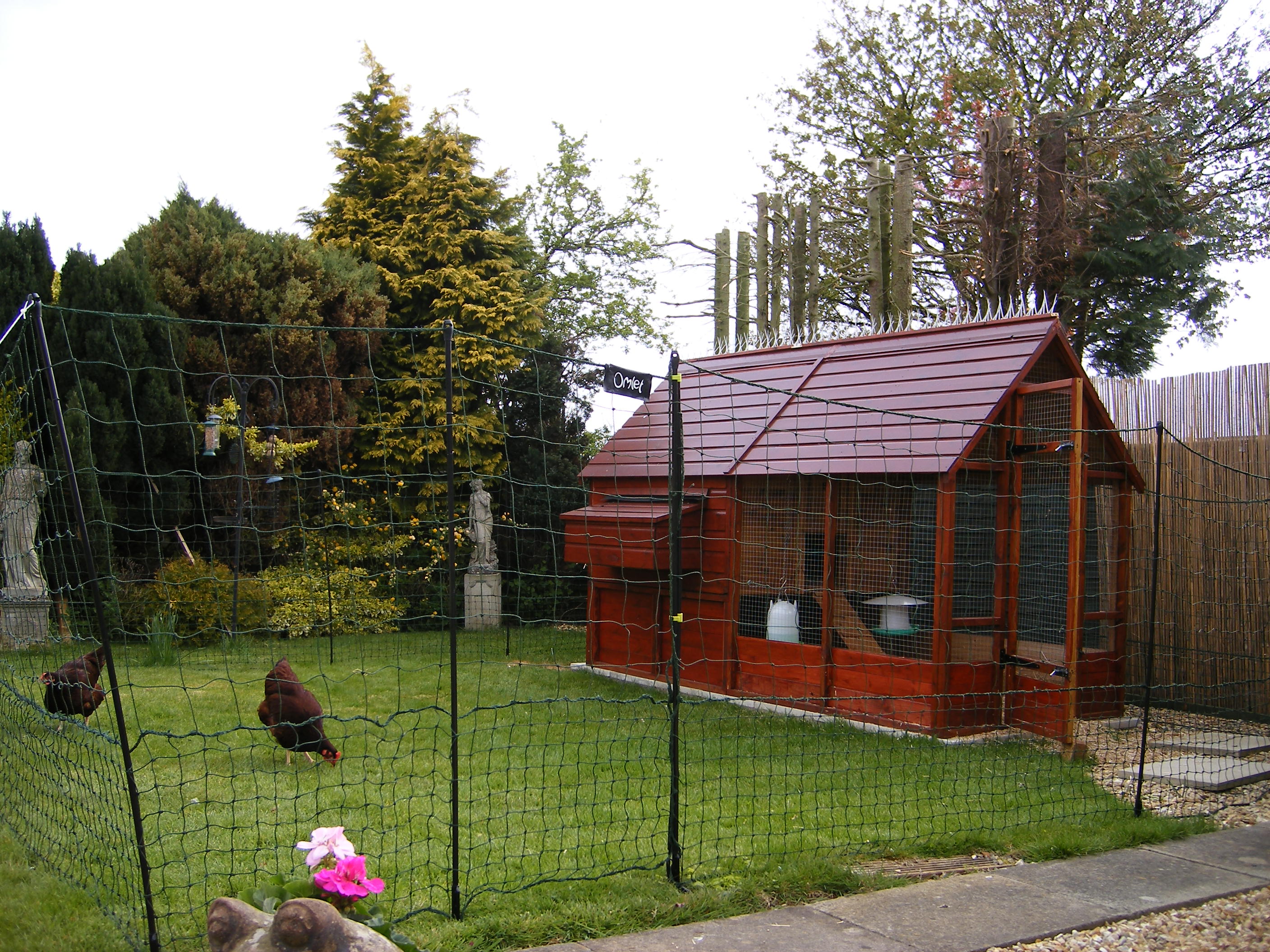 Omlet Chicken Fencing Green Poultry Netting for Chickens