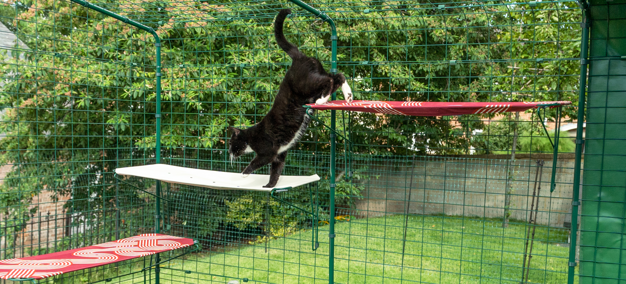 Cat climbing on Omlet Fabric Outdoor Cat Shelves in a Outdoor Catio in the garden