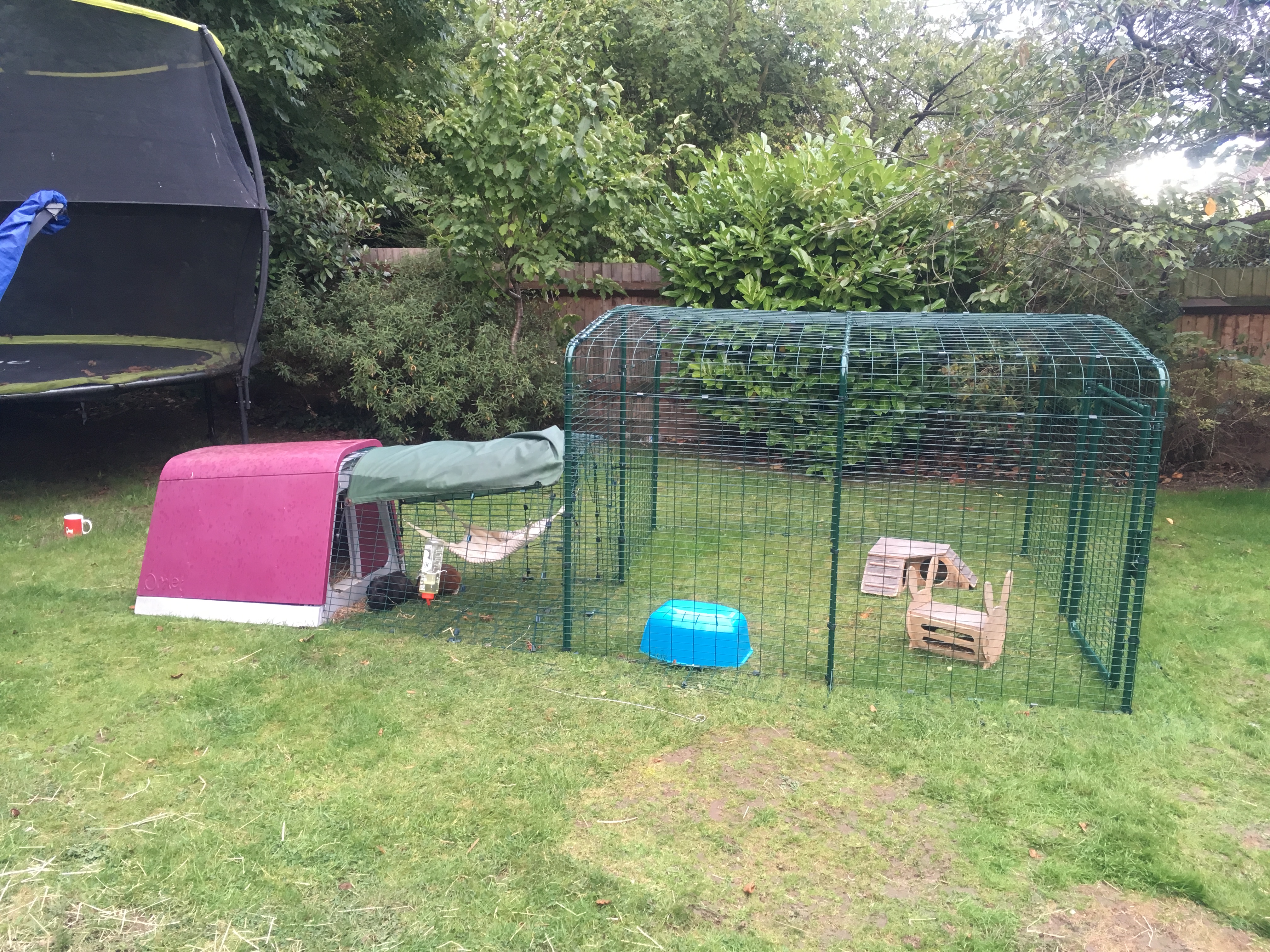 Outdoor Guinea Pig Run Large Outdoor Guinea Pig Enclosure