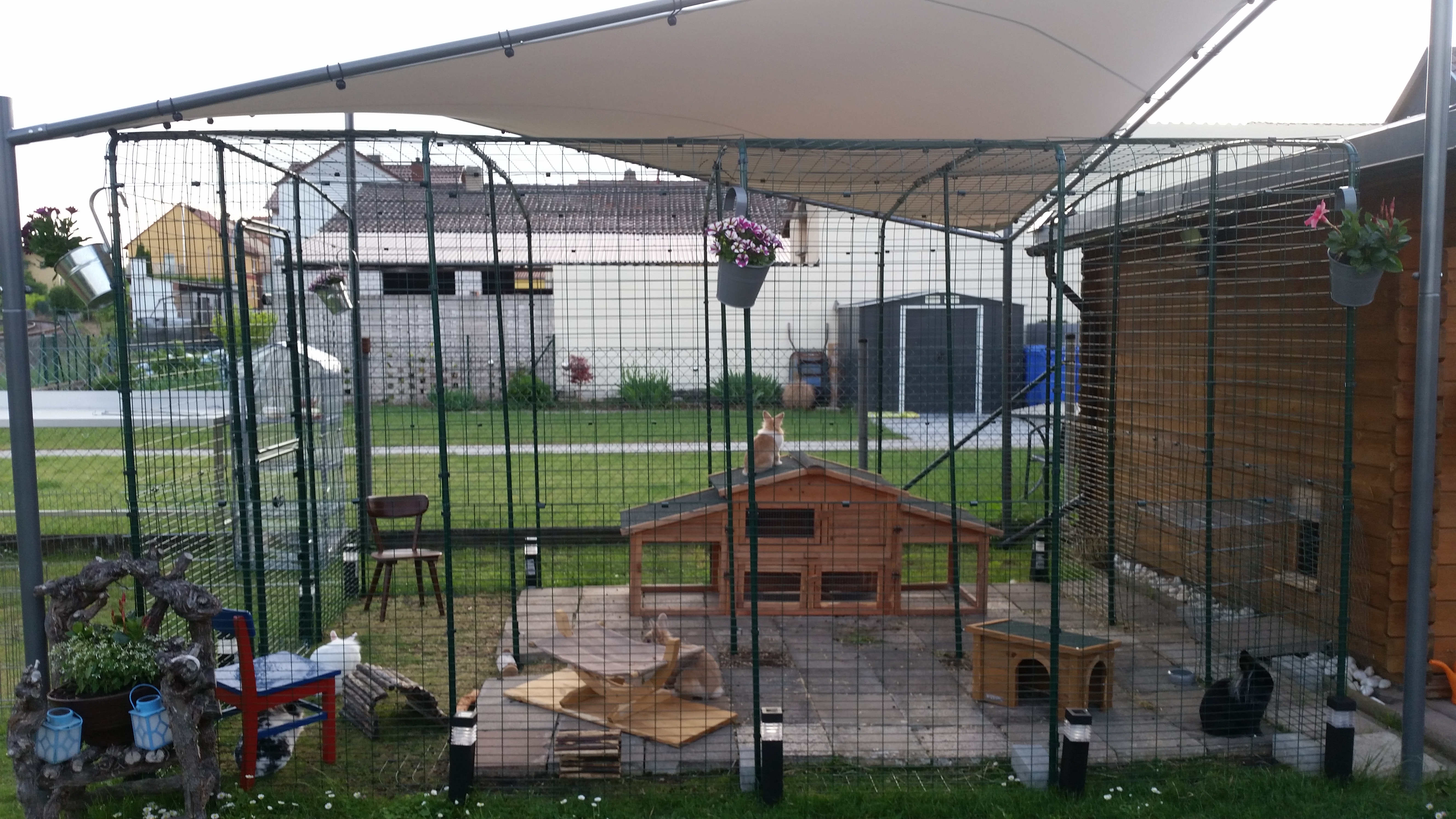 Outdoor Rabbit Run Large Outdoor Rabbit Enclosure