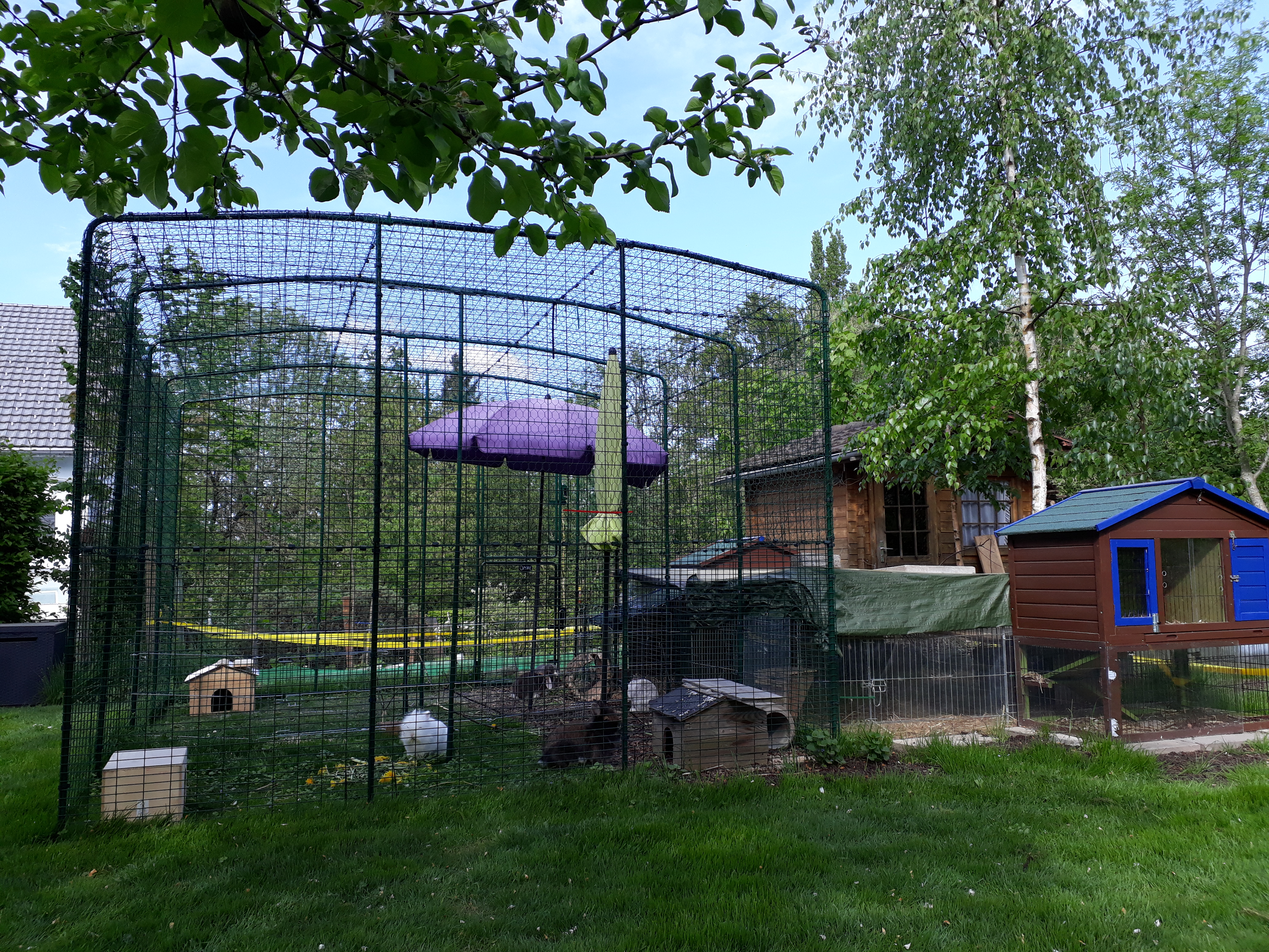 Outdoor Rabbit Run Large Outdoor Rabbit Enclosure