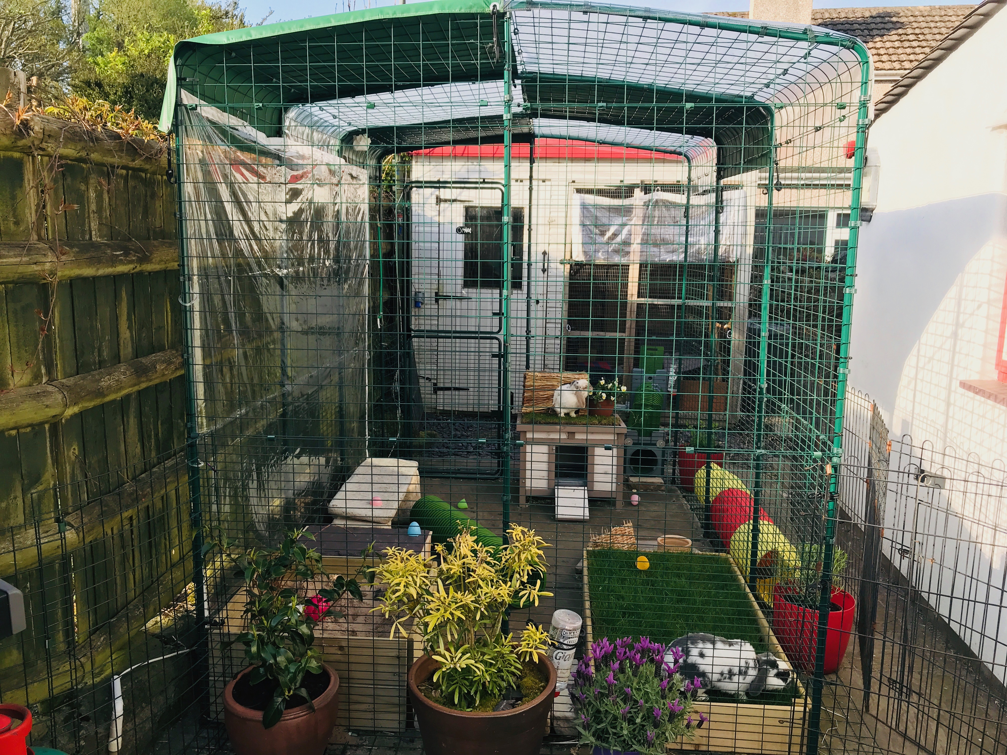 Outdoor Rabbit Run Large Outdoor Rabbit Enclosure