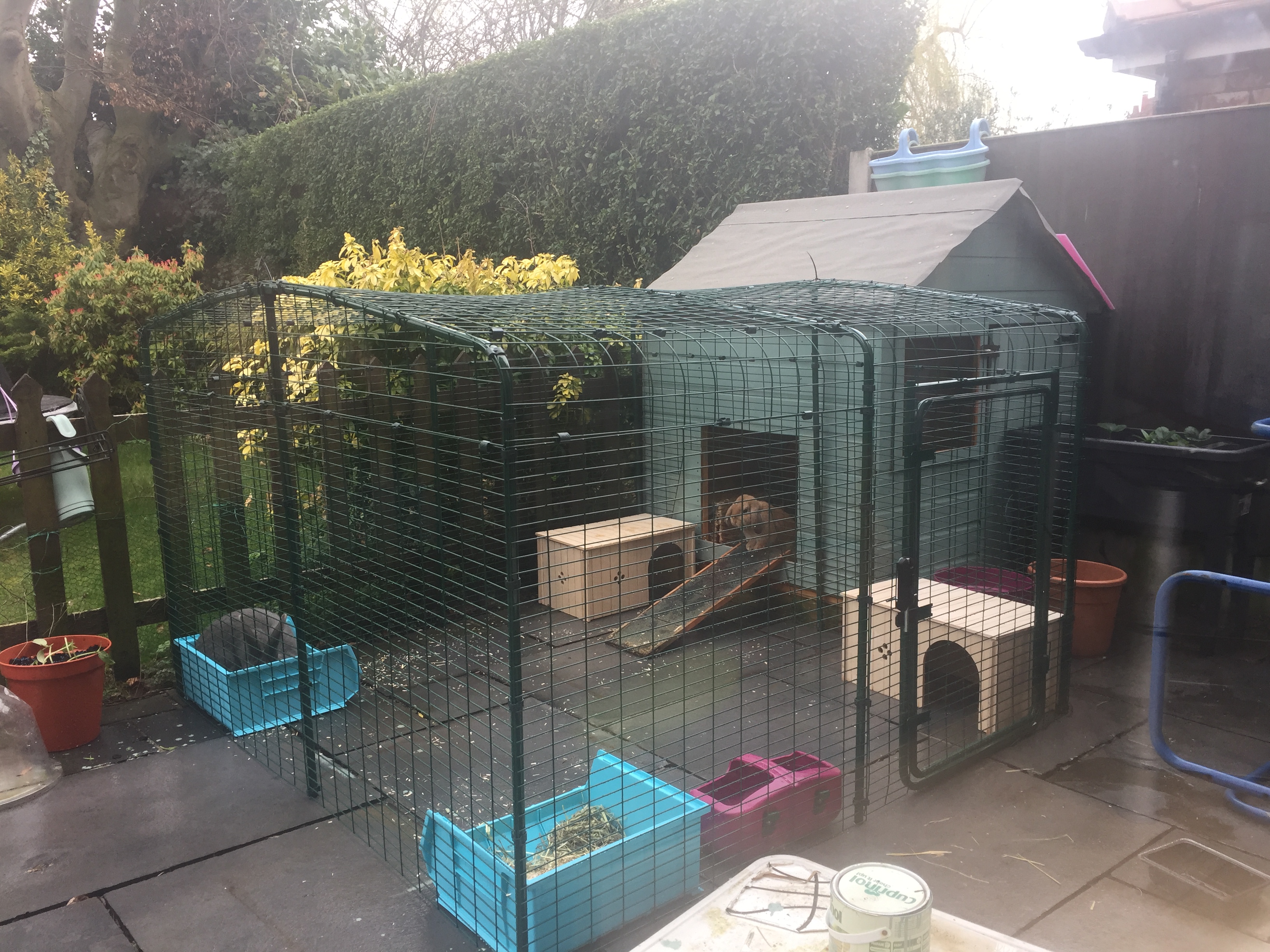 Outdoor Rabbit Run Large Outdoor Rabbit Enclosure