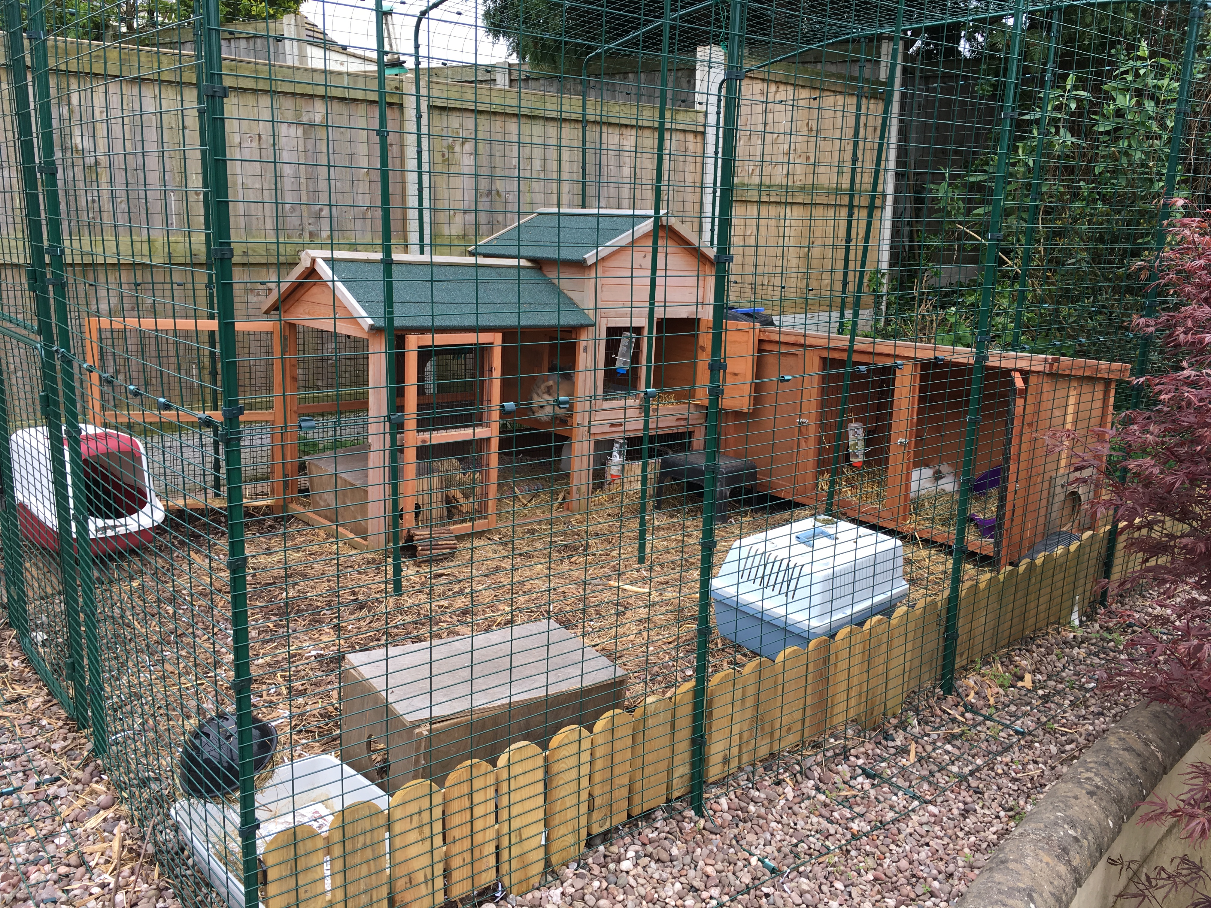 Outdoor Rabbit Run Large Outdoor Rabbit Enclosure