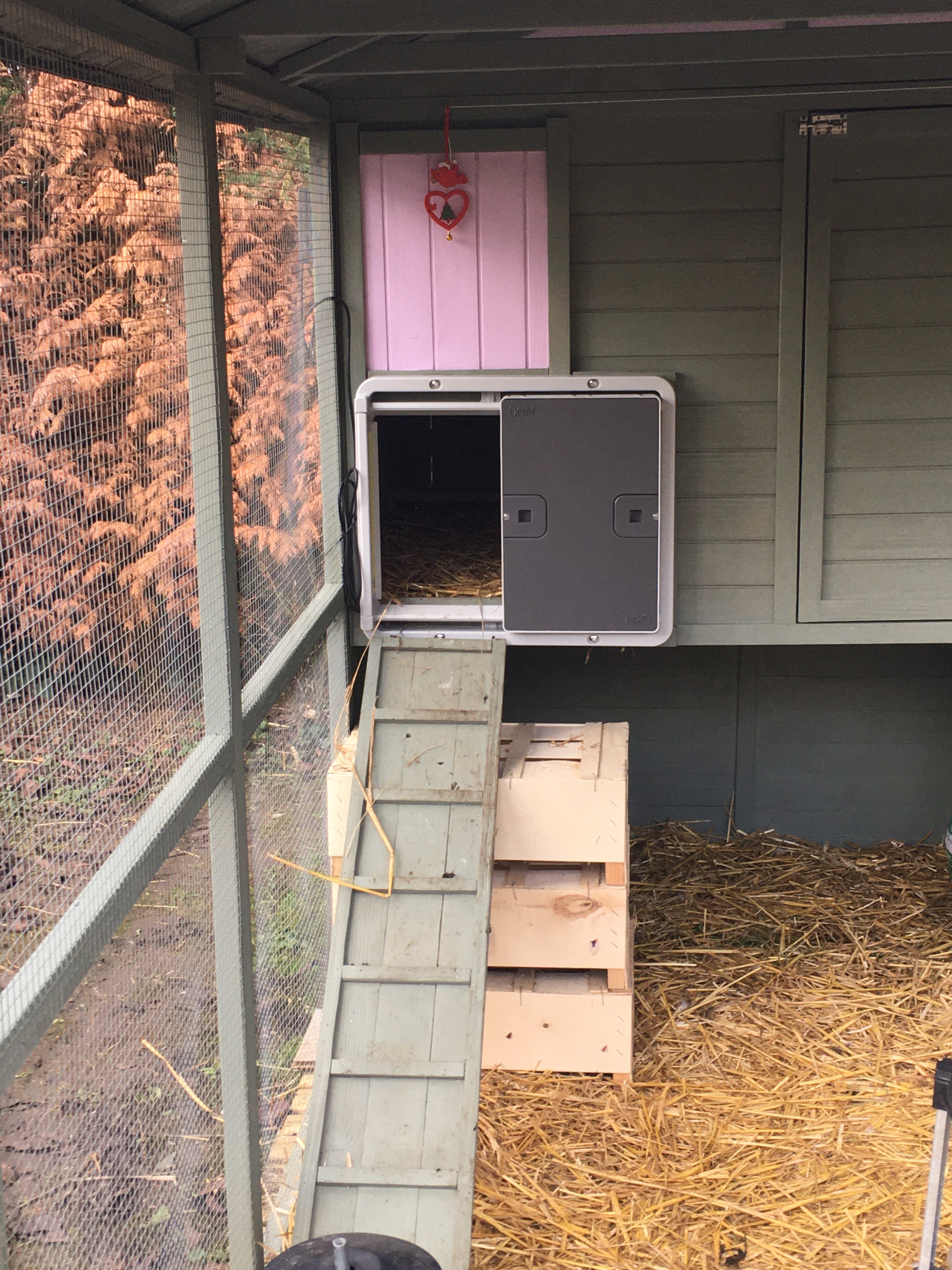 Automatic Chicken Coop Door Opener Omlet