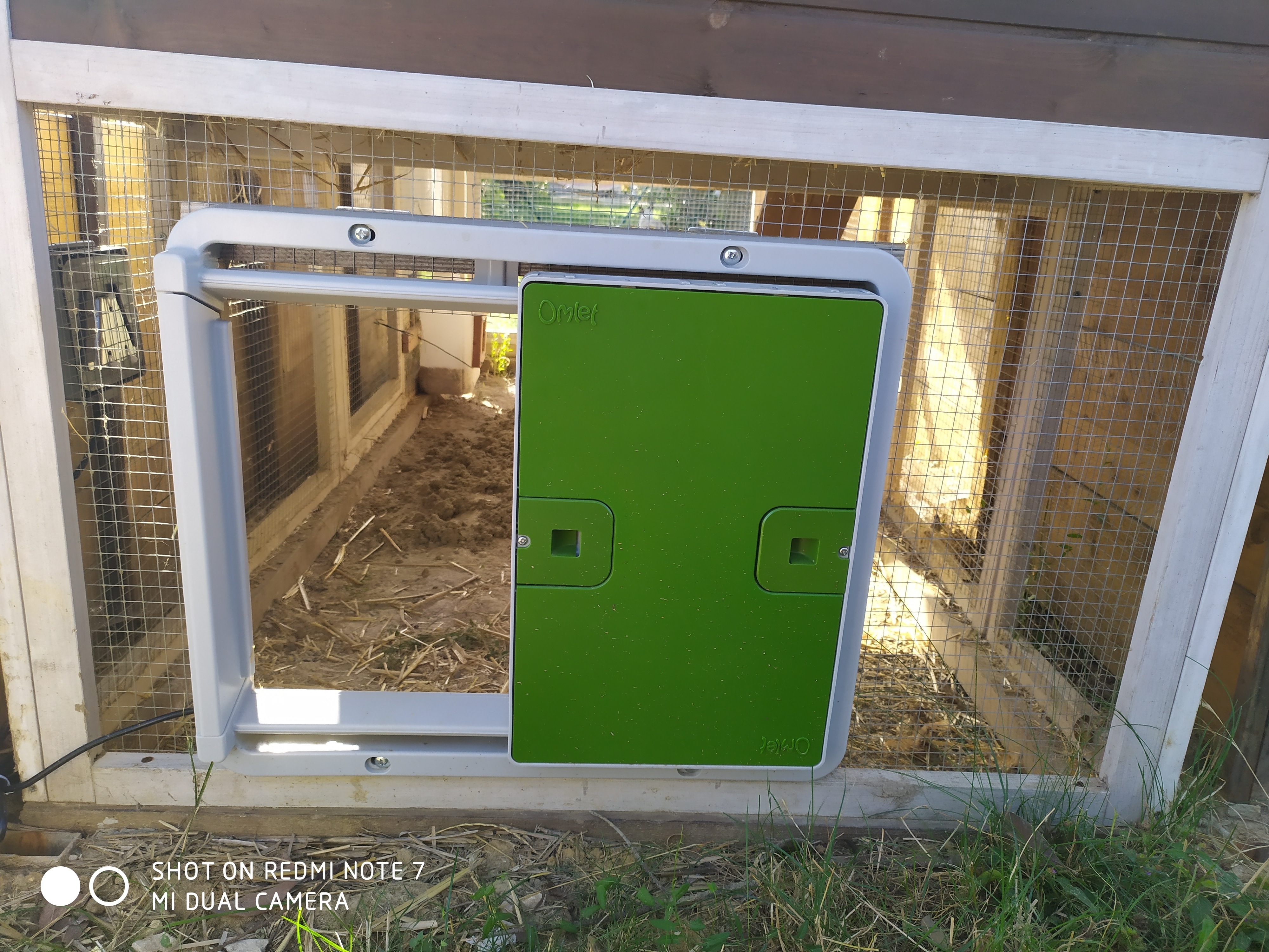 Automatic Chicken Coop Door Opener Omlet