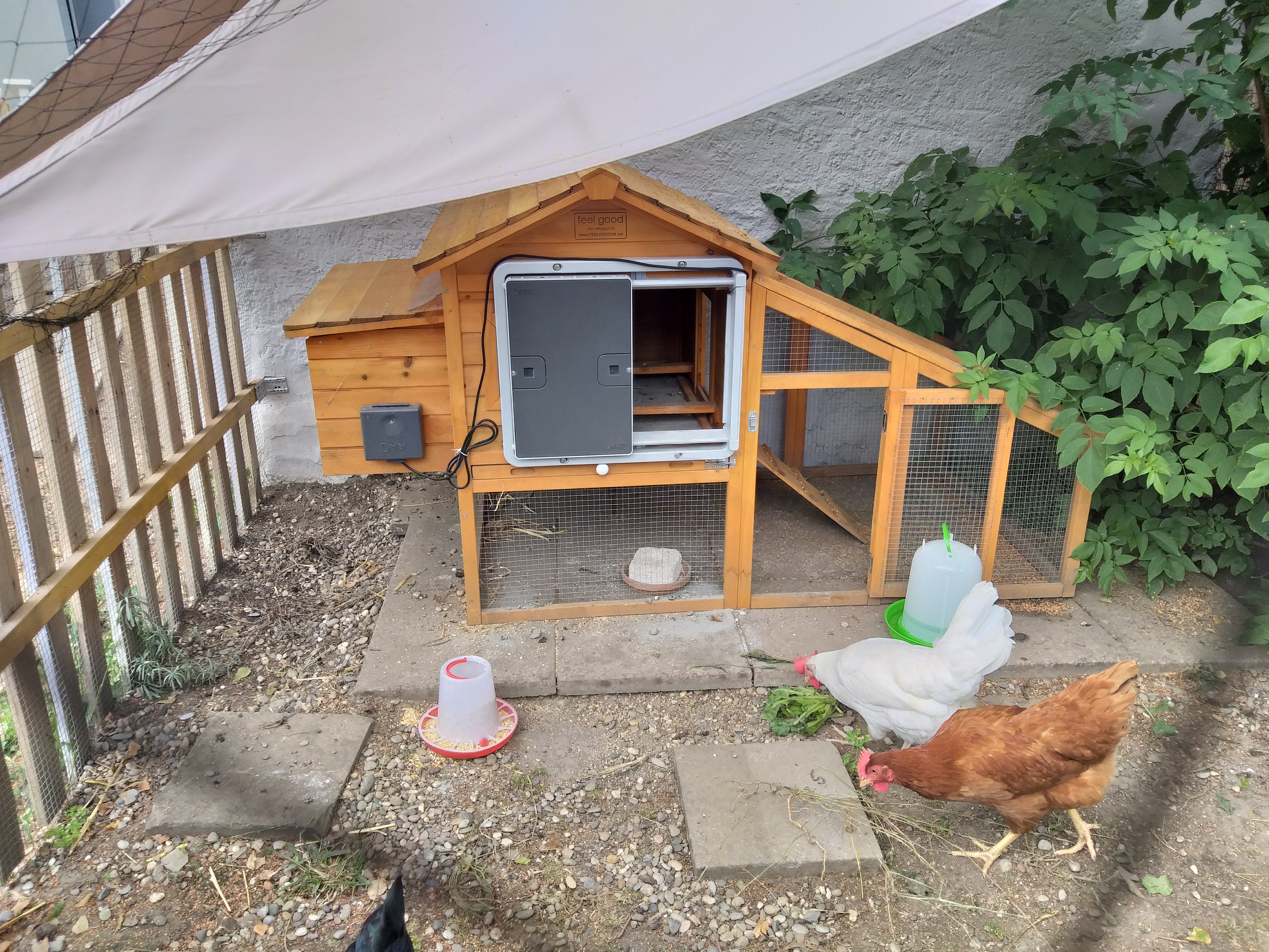 Automatic Chicken Coop Door Grey