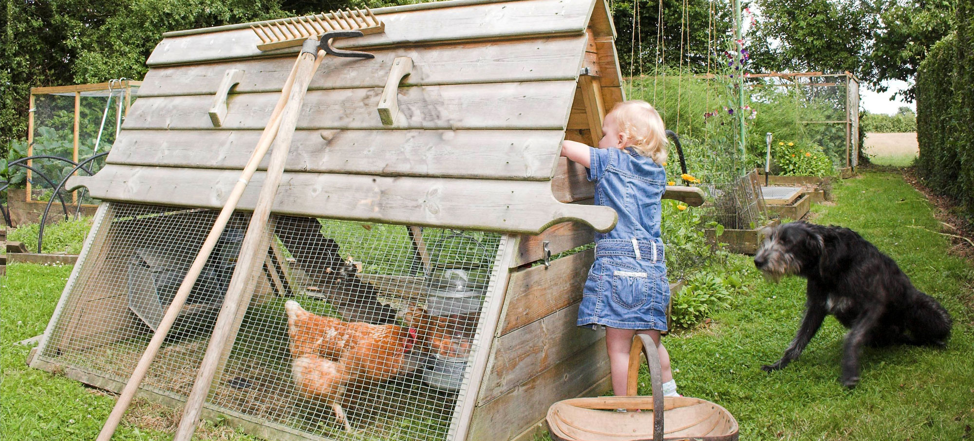 Boughton Chicken Coop