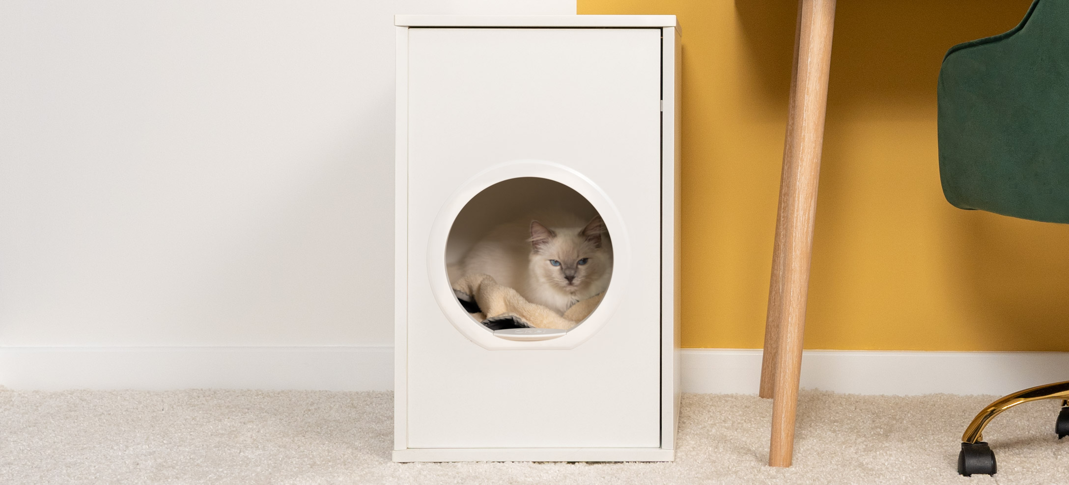cat cave door