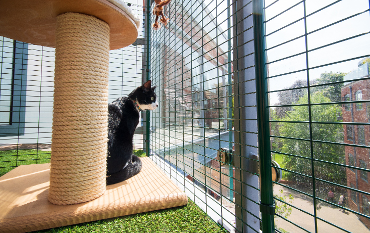 catio on balcony