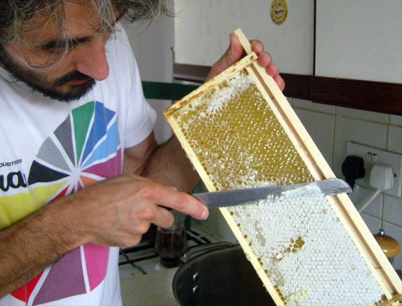 Collecting honey.