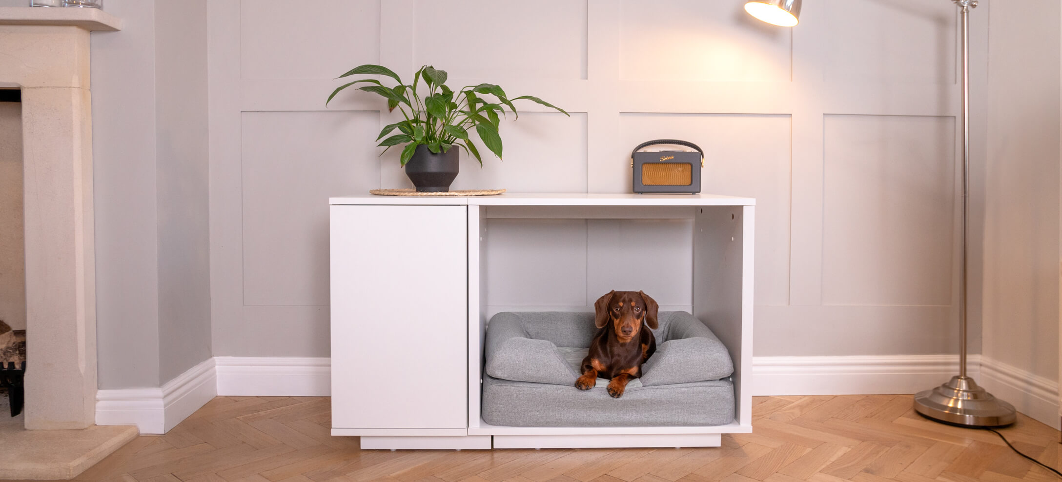 Dachshund on their Topology Dog Bed with Bolster topper in their Fido Nook Dog Crate