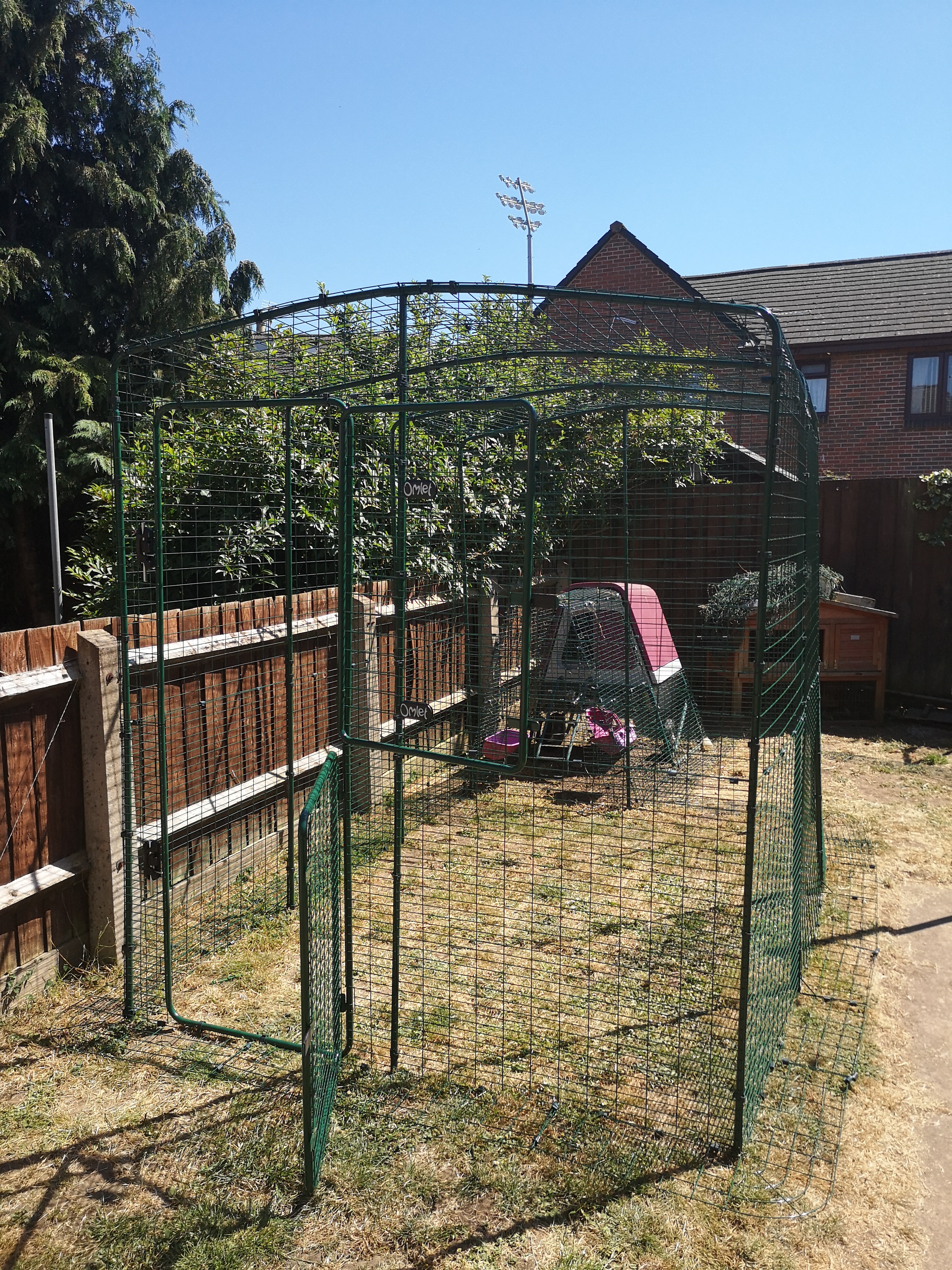 Walk in Chicken Run | Large Outdoor Chicken Enclosure
