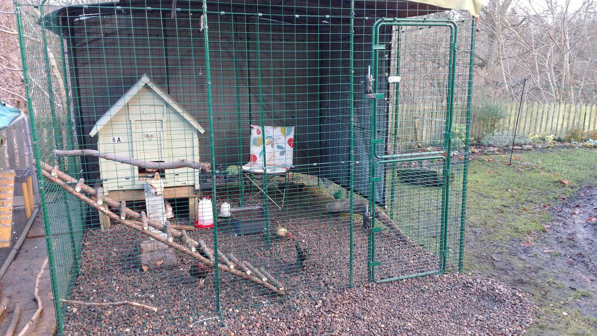 Walk in Chicken Run | Large Outdoor Chicken Enclosure