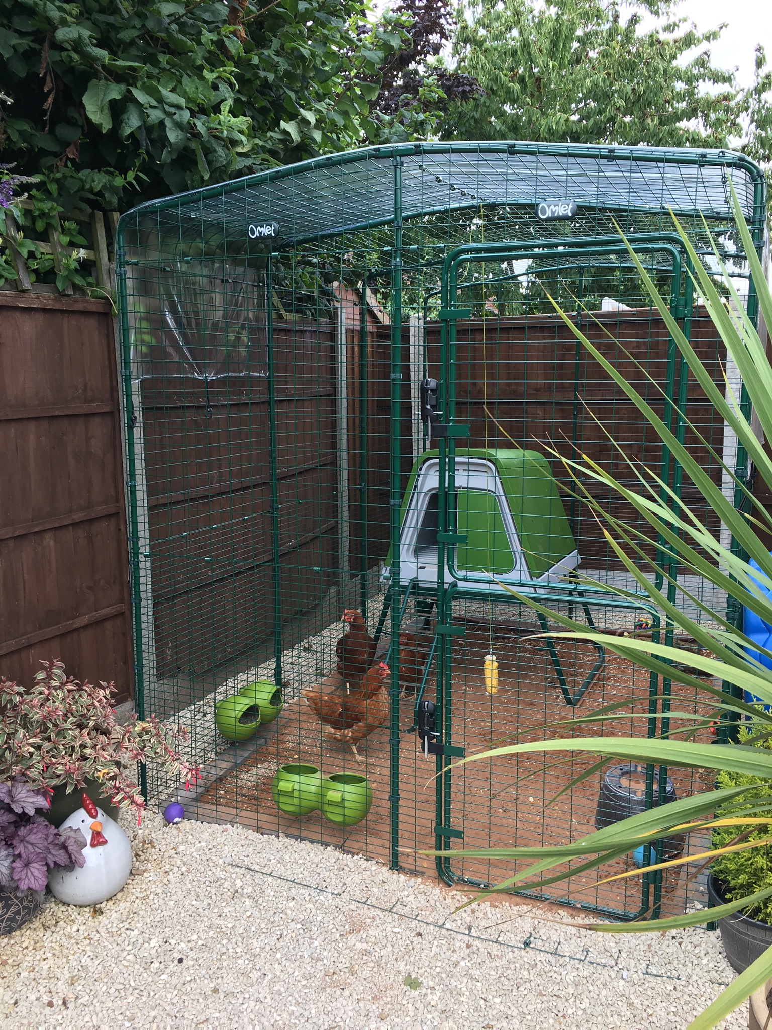 Walk in Chicken Run Large Outdoor Chicken Enclosure
