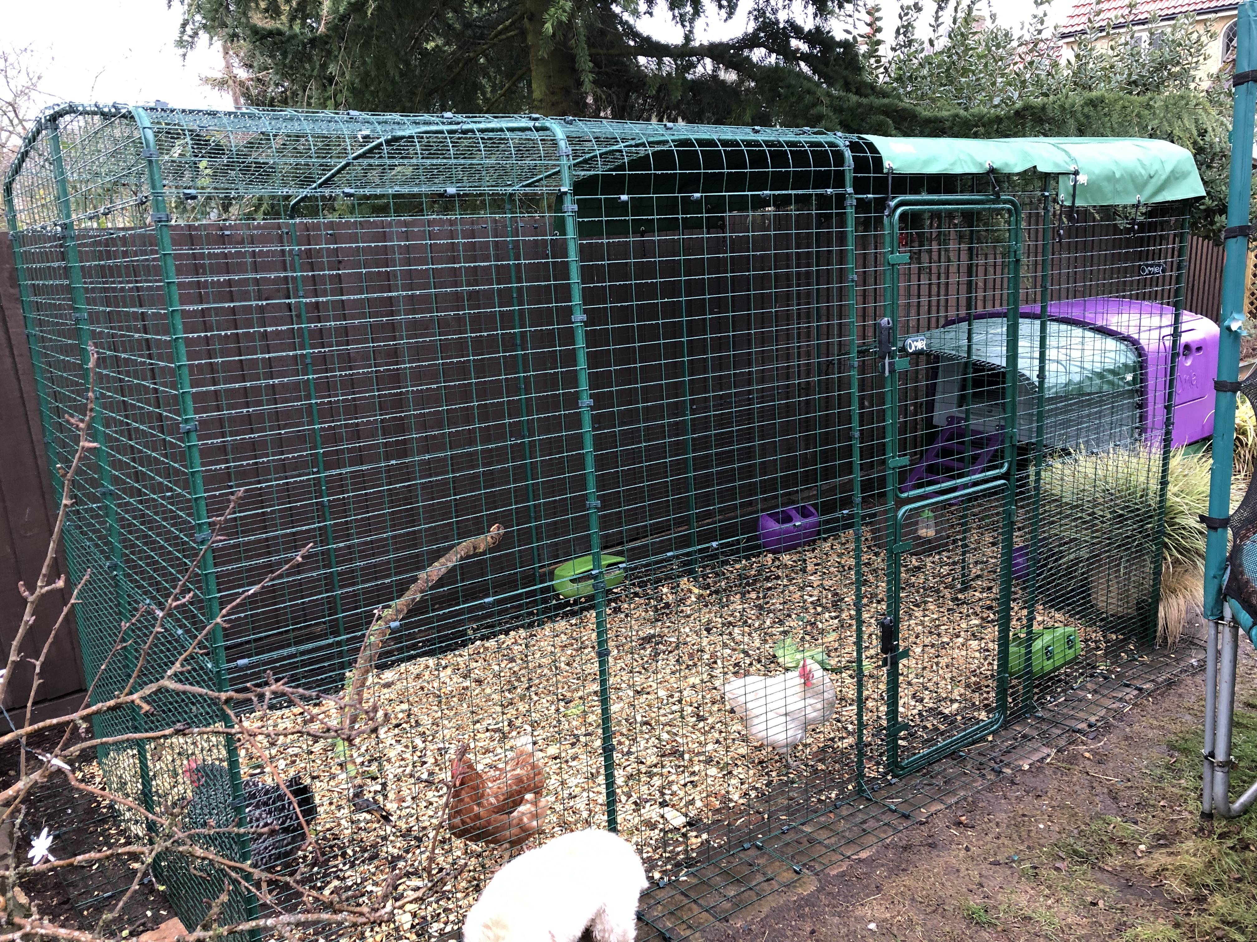 Walk in Chicken Run Large Outdoor Chicken Enclosure