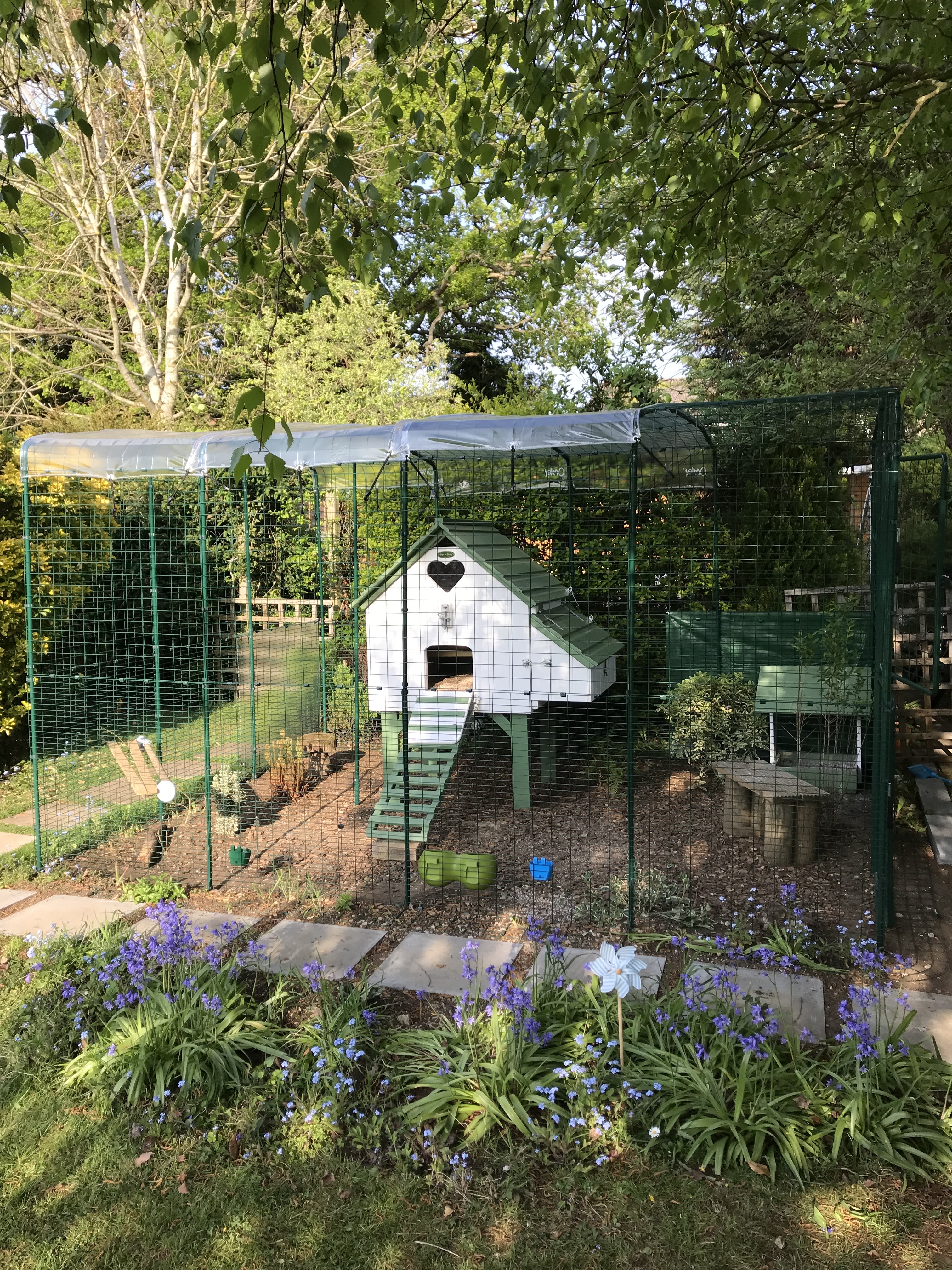 Walk in Chicken Run Large Outdoor Chicken Enclosure
