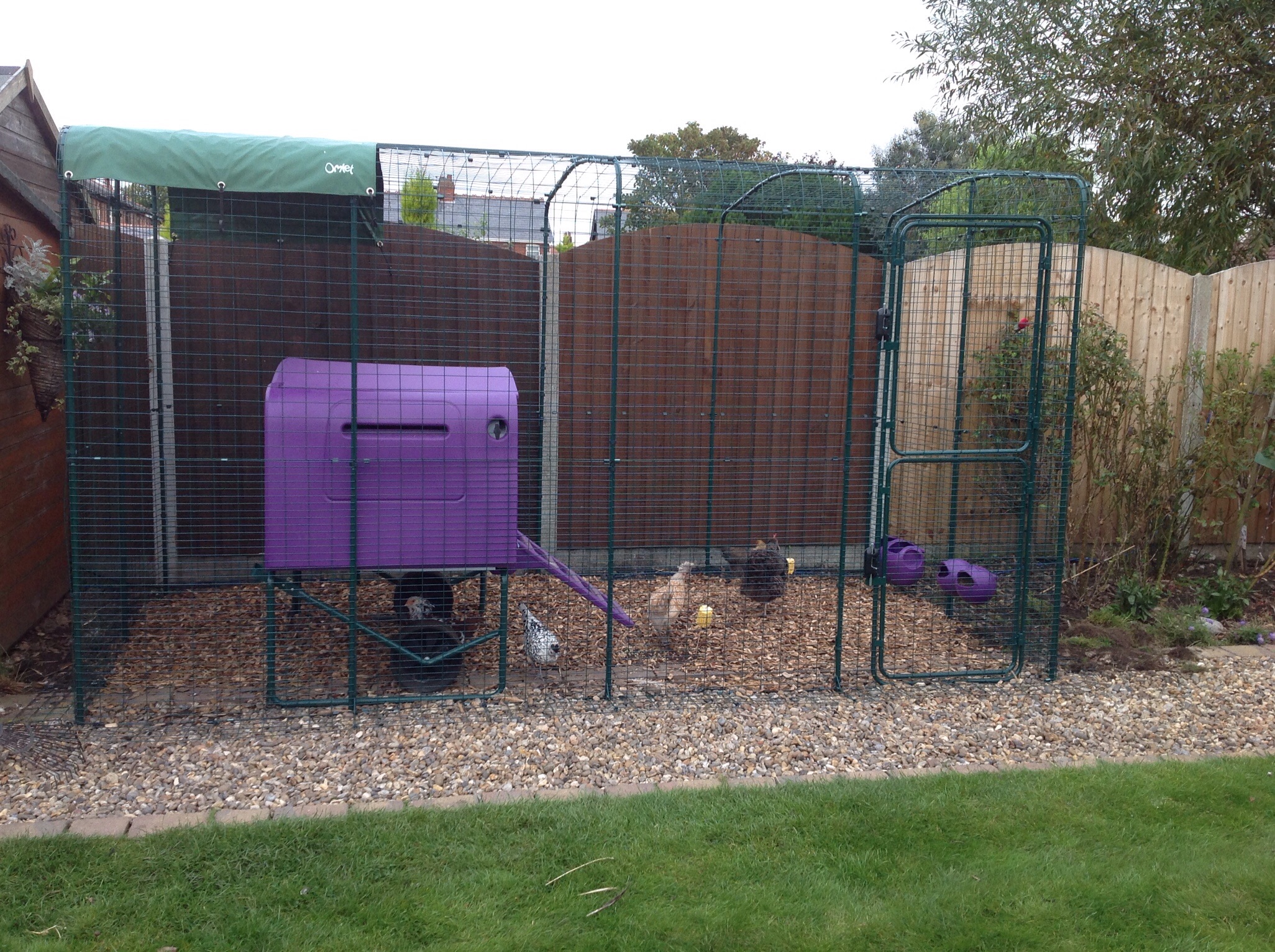 Walk in Chicken Run Large Outdoor Chicken Enclosure