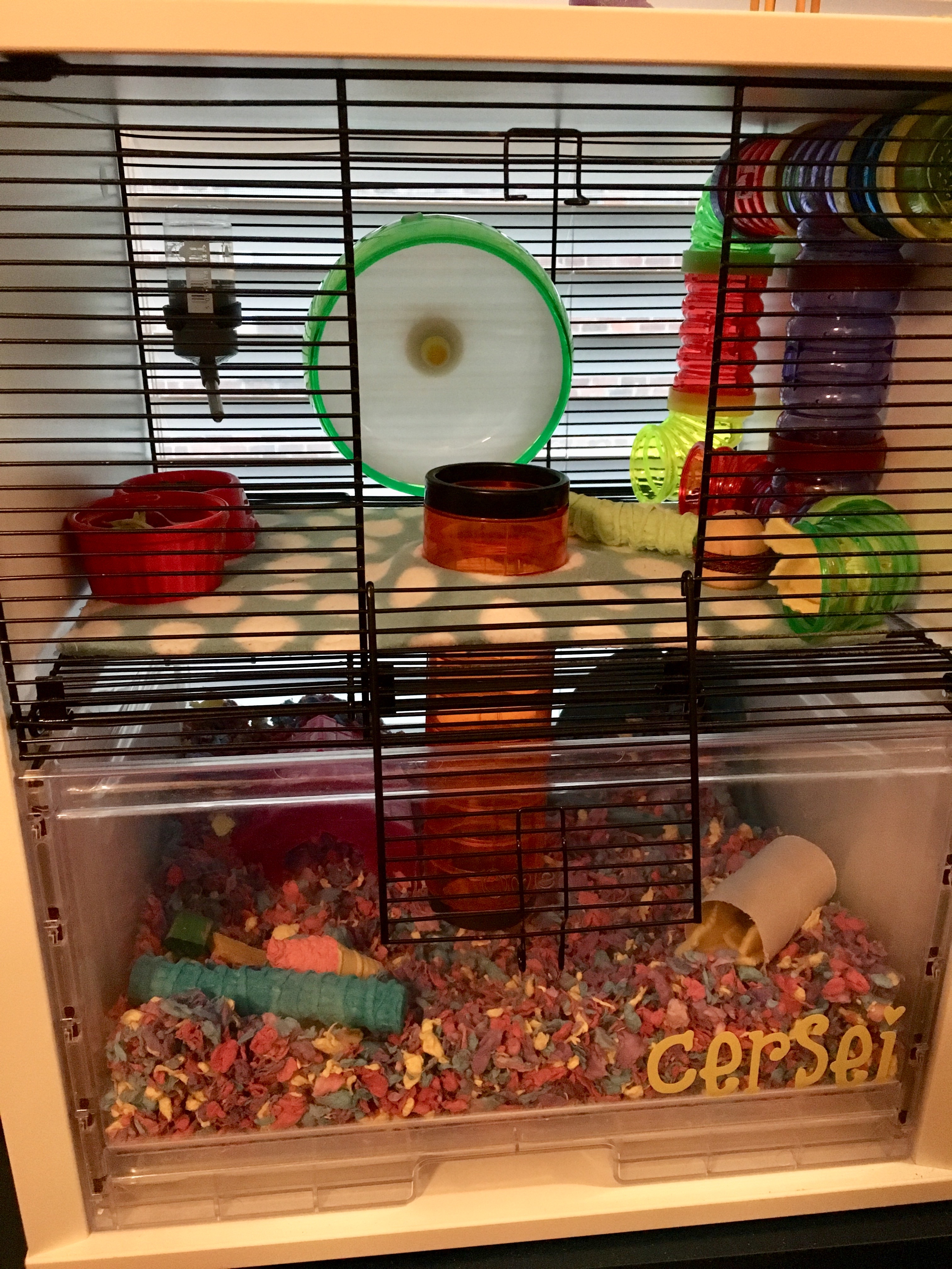 Qute Hamster & Gerbil Cage Stylish Hamster House