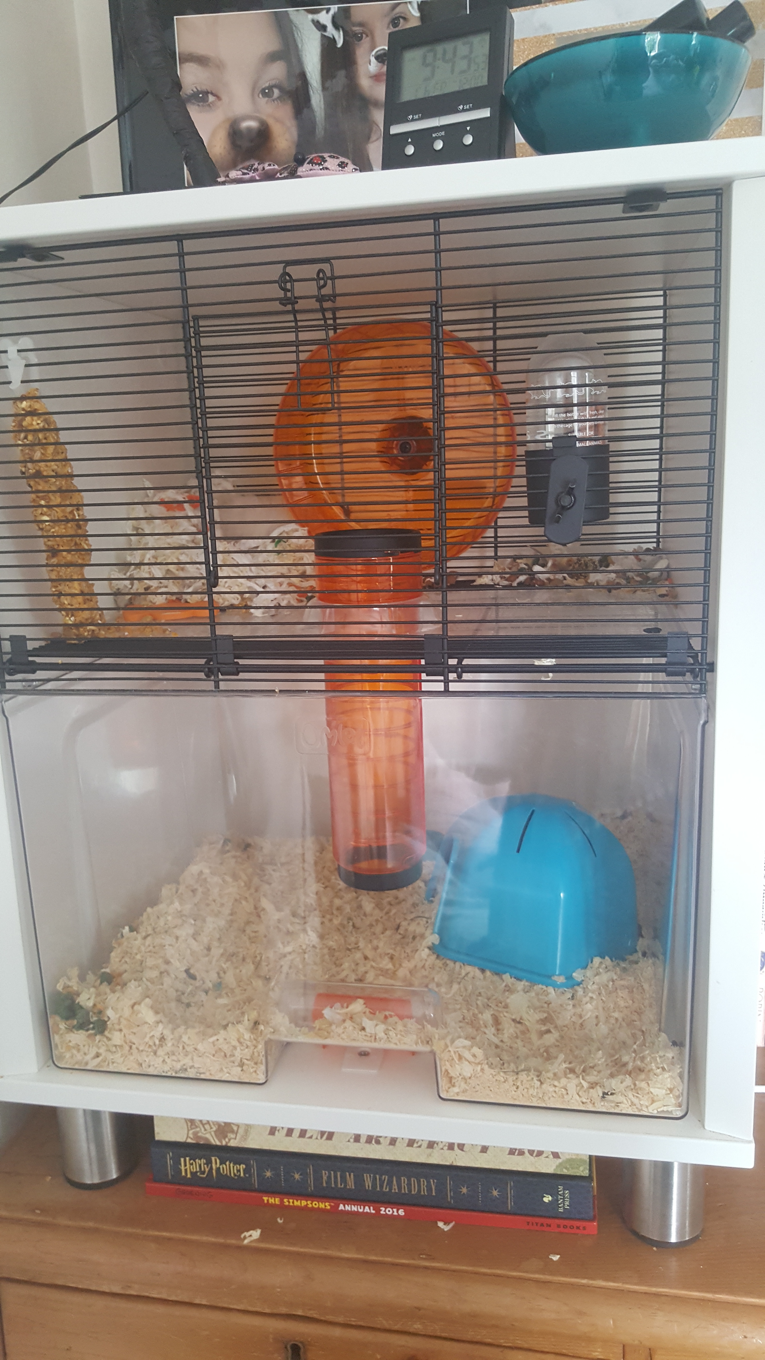 Qute Hamster & Gerbil Cage Stylish Hamster House