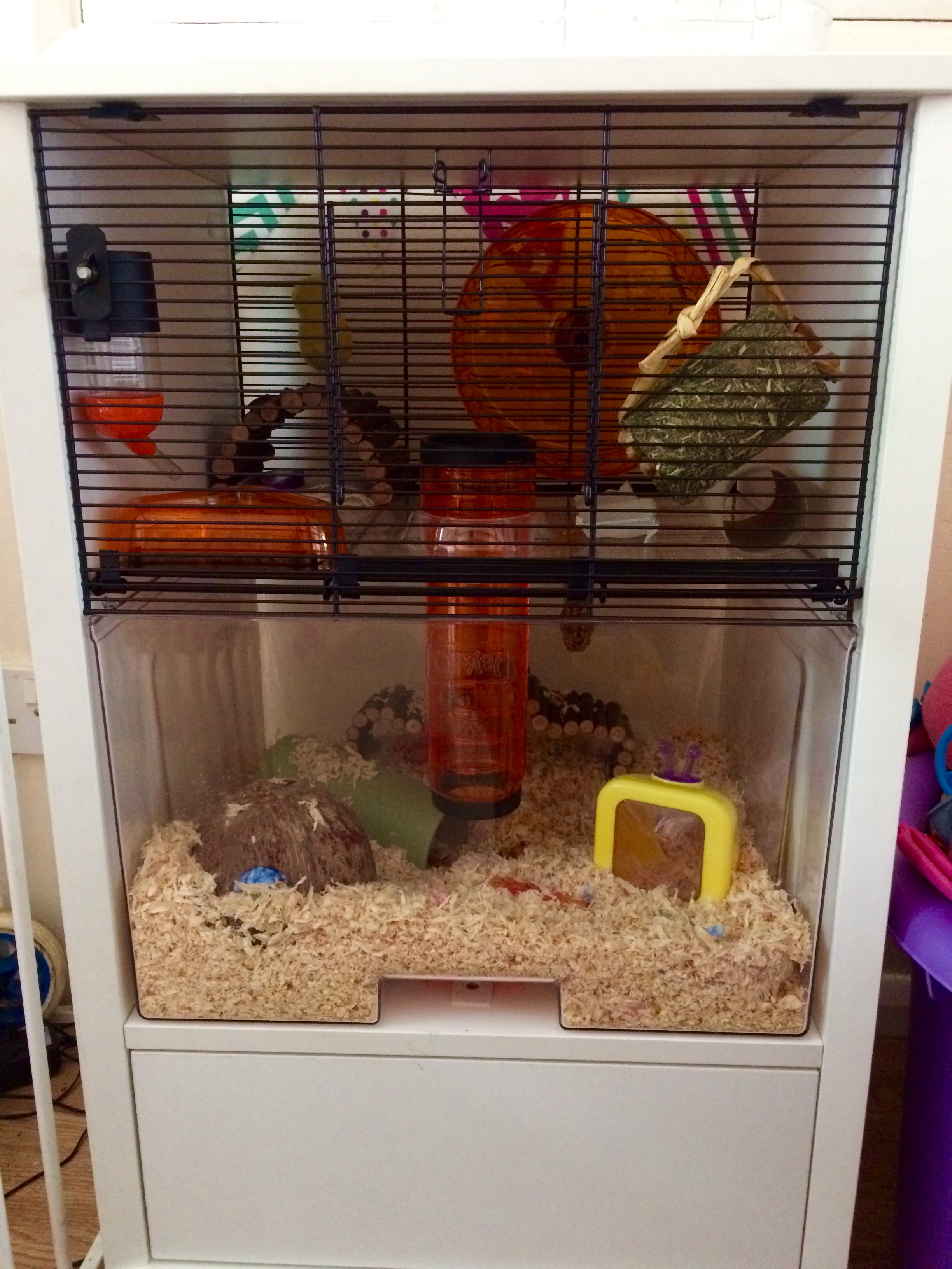 Qute Hamster & Gerbil Cage Stylish Hamster House