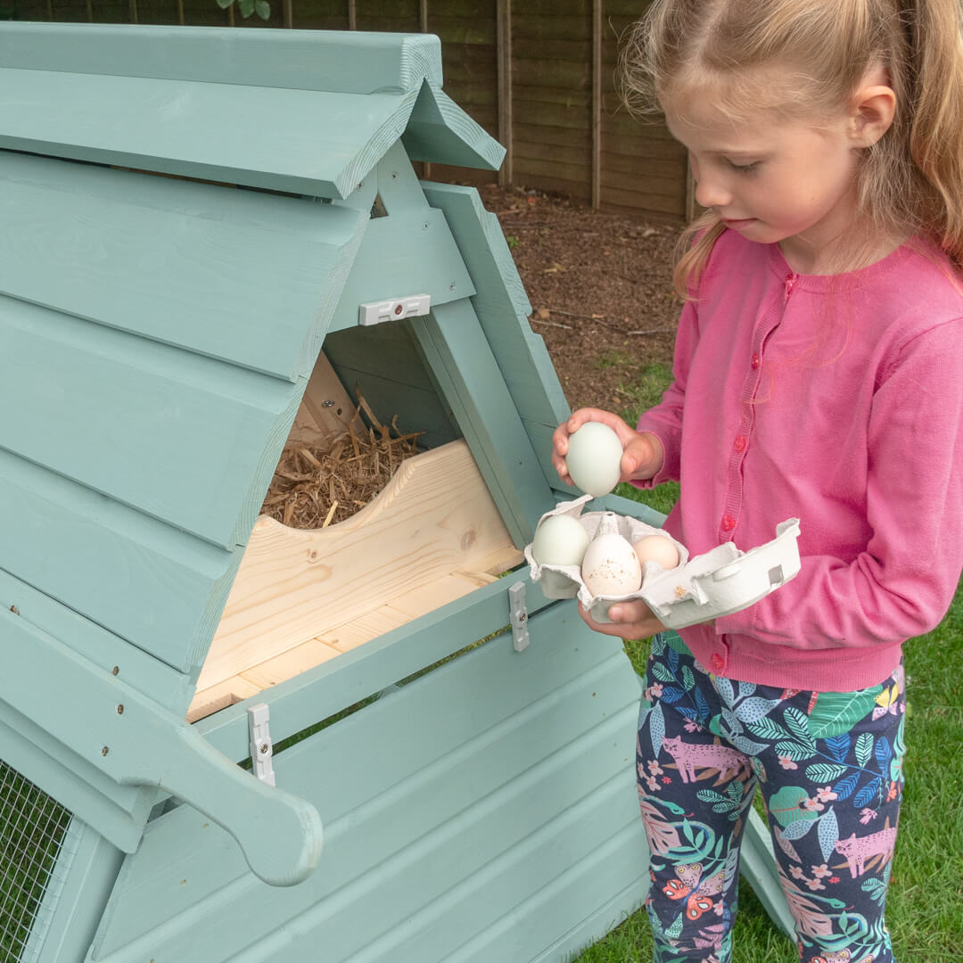 Young child collecting eggs from Boughton chicken coop.