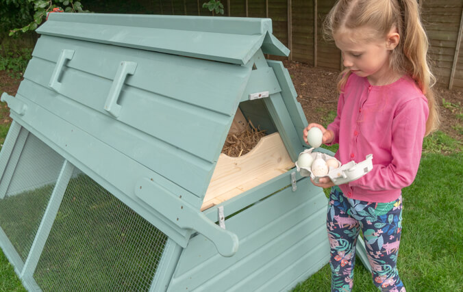 Young child collecting eggs from Boughton chicken coop.