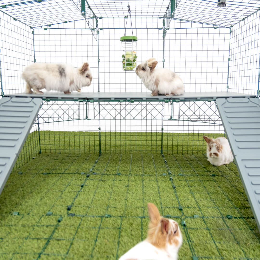 Zippi Rabbit Platforms 3 panels 2 ramps Omlet