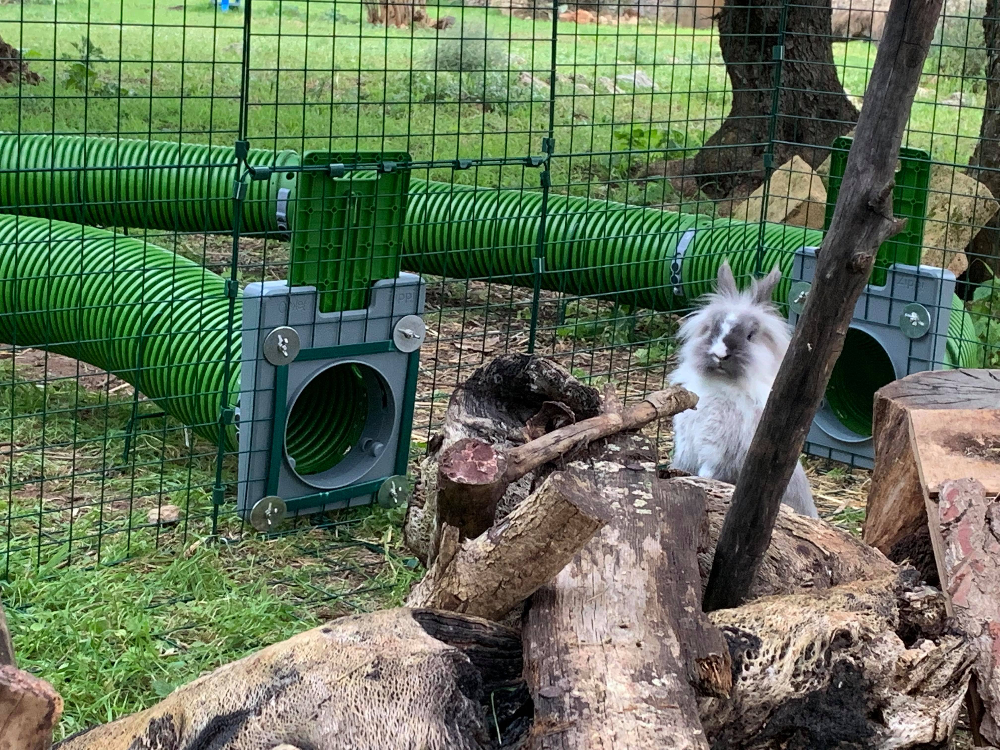 Zippi Rabbit Tunnel System Omlet